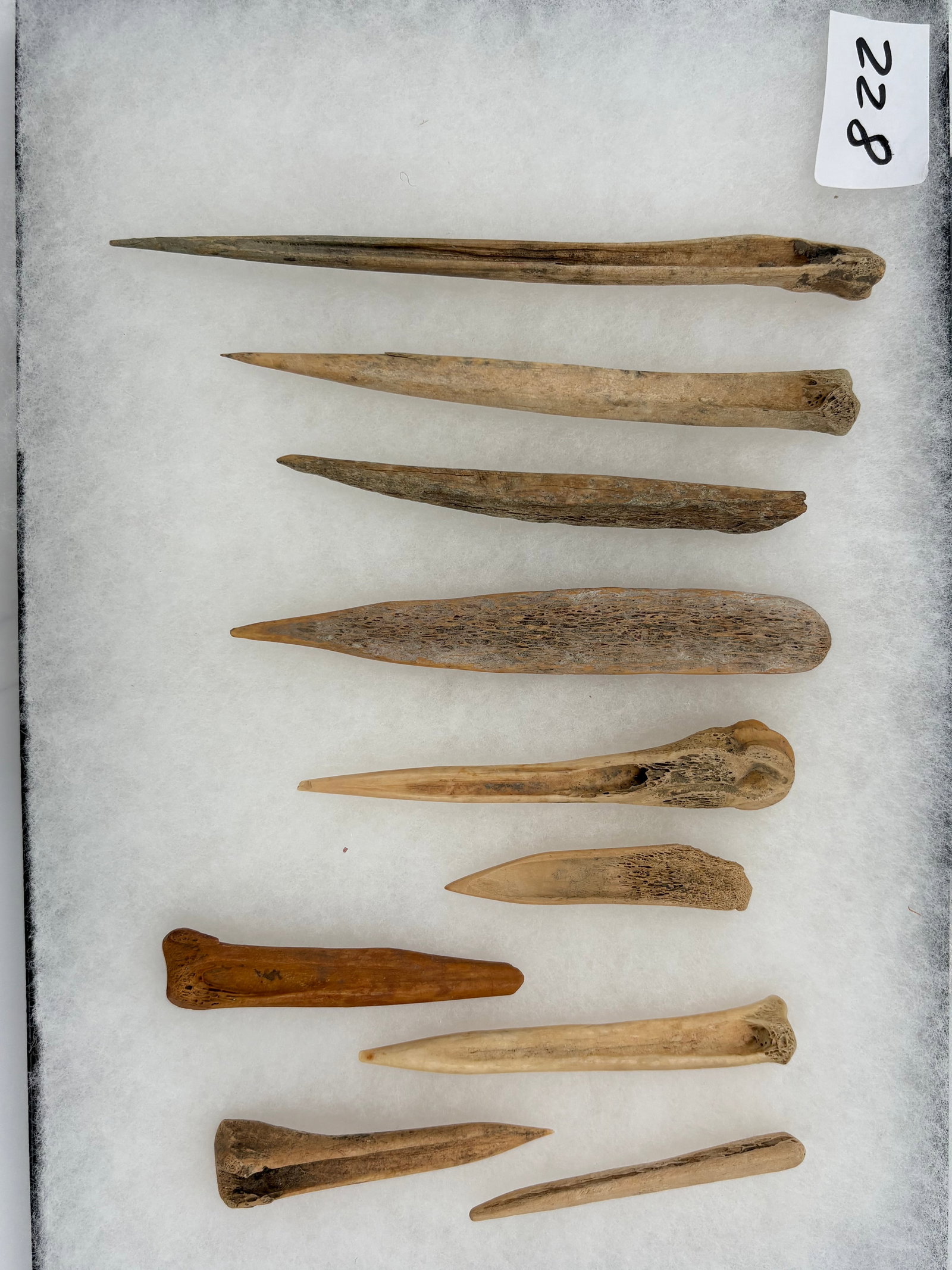 Bone Awls/Tools: Set of bone awls/tools with tapered working tips, elongated bodies, and natural surface texture. Keywords: native american, indian artifact, arrowhead, paleo, clovis, dalton, arrowhead collection