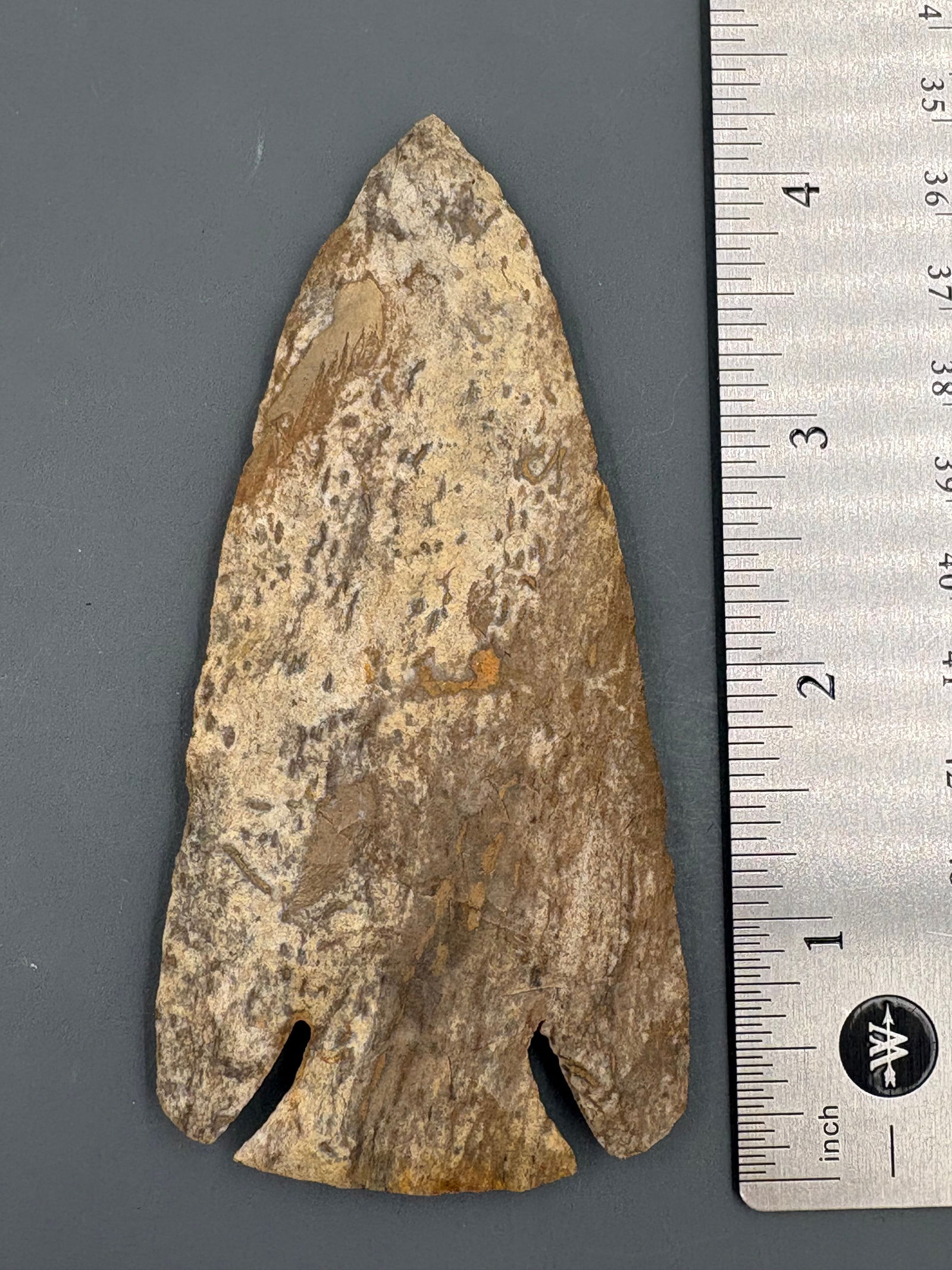 Lost Lake (Ft. Payne Chert) - 4 3/16" - Putty COA (1 of 4)