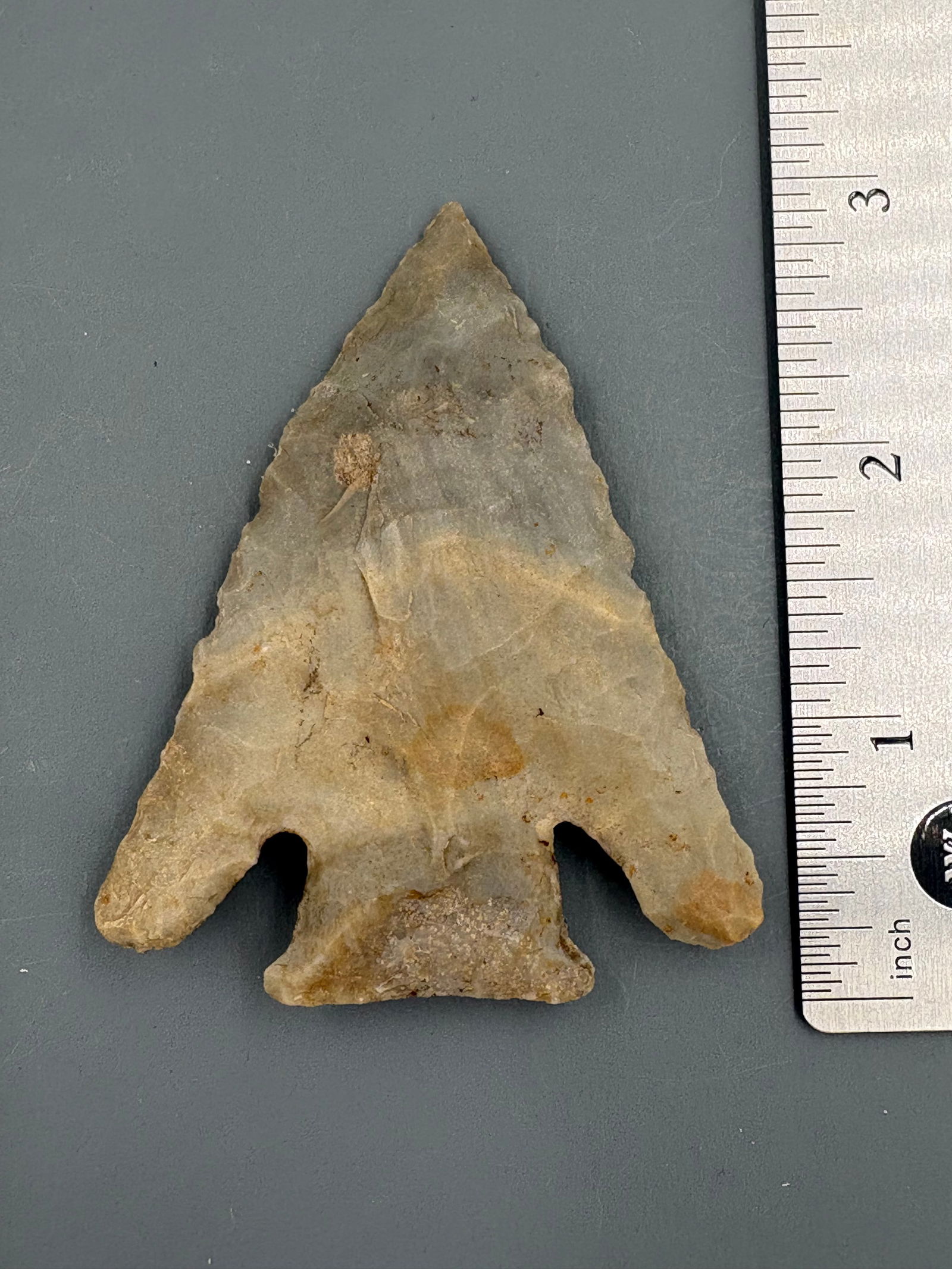 Lost Lake (Grey/Tan Chert, Lincoln Co. OH) - 3" - Rogers COA (1 of 5)