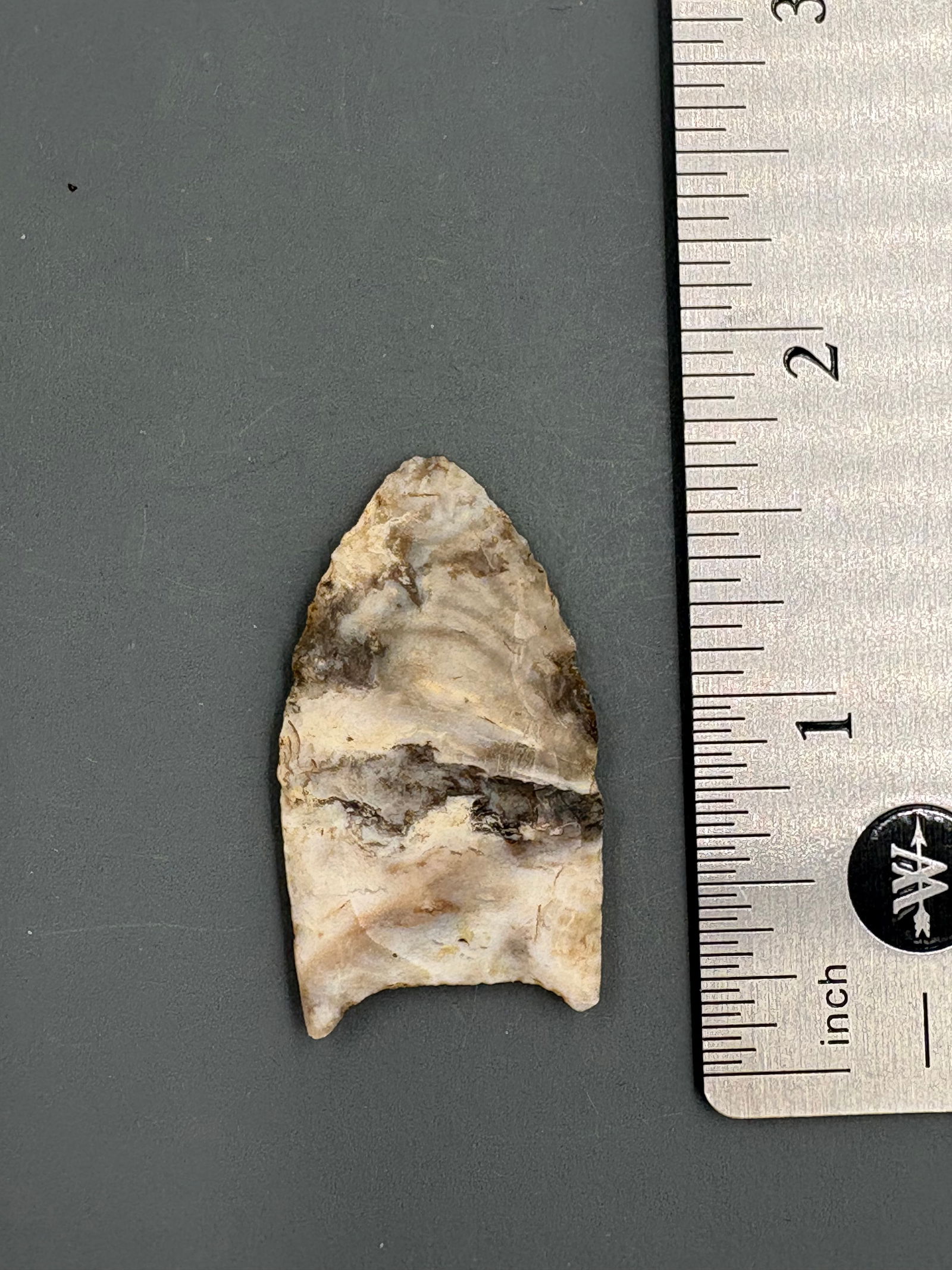 Folsom (Alibates Chert, Hardin Co. NM) - 1 9/16" - Stermer COA (1 of 5)