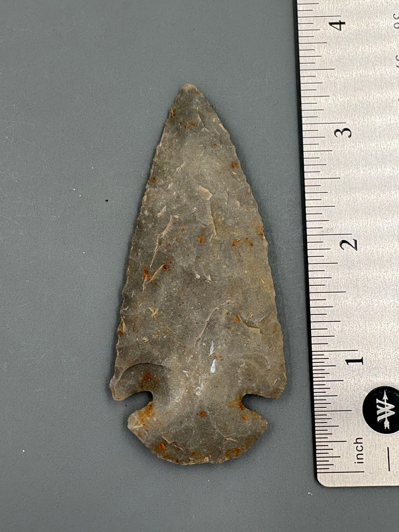 Dovetail (Hornstone) - 3 5/16" - Putty COA (1 of 5)