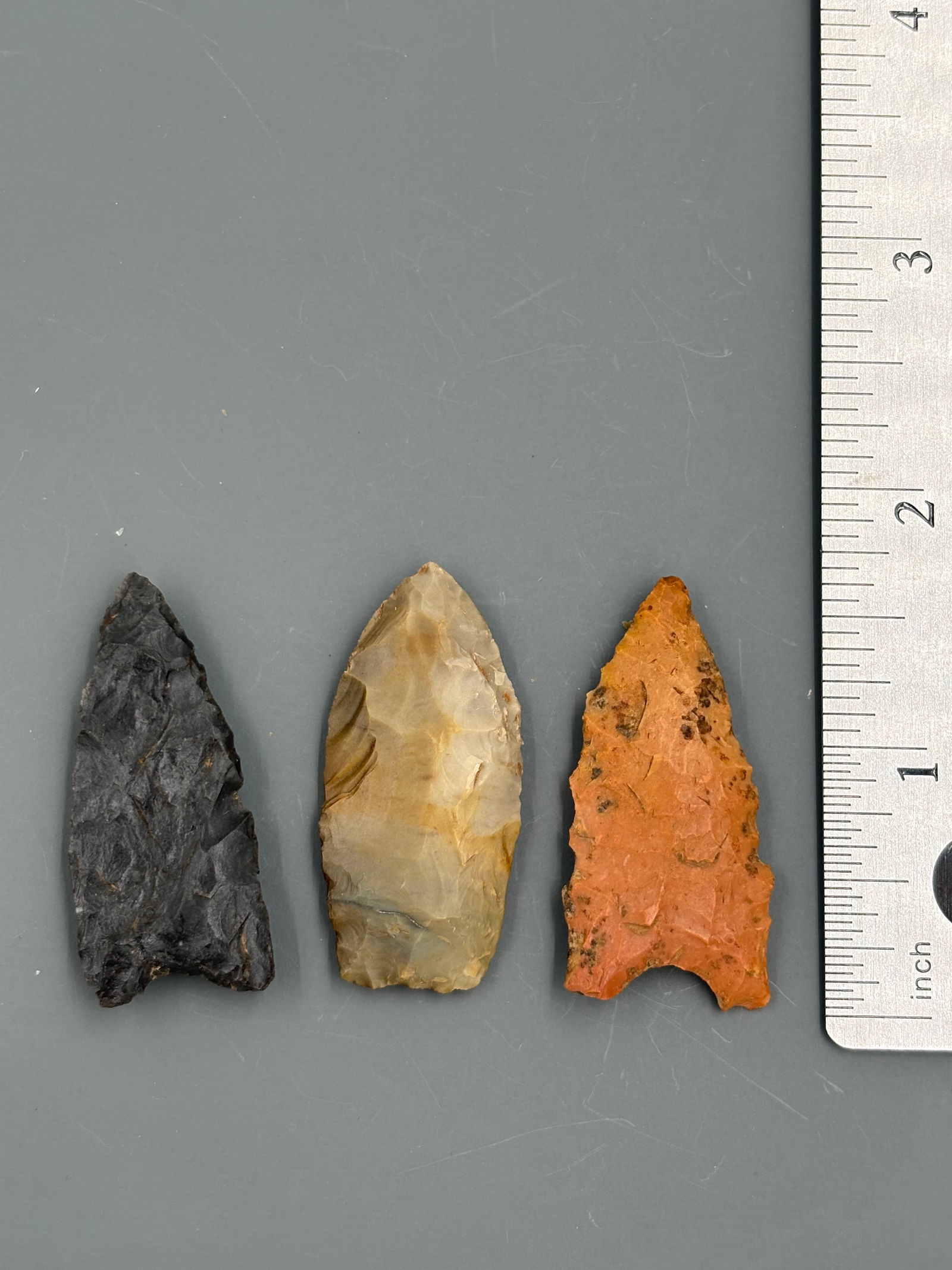 3 Paleo Points (1 of 1)