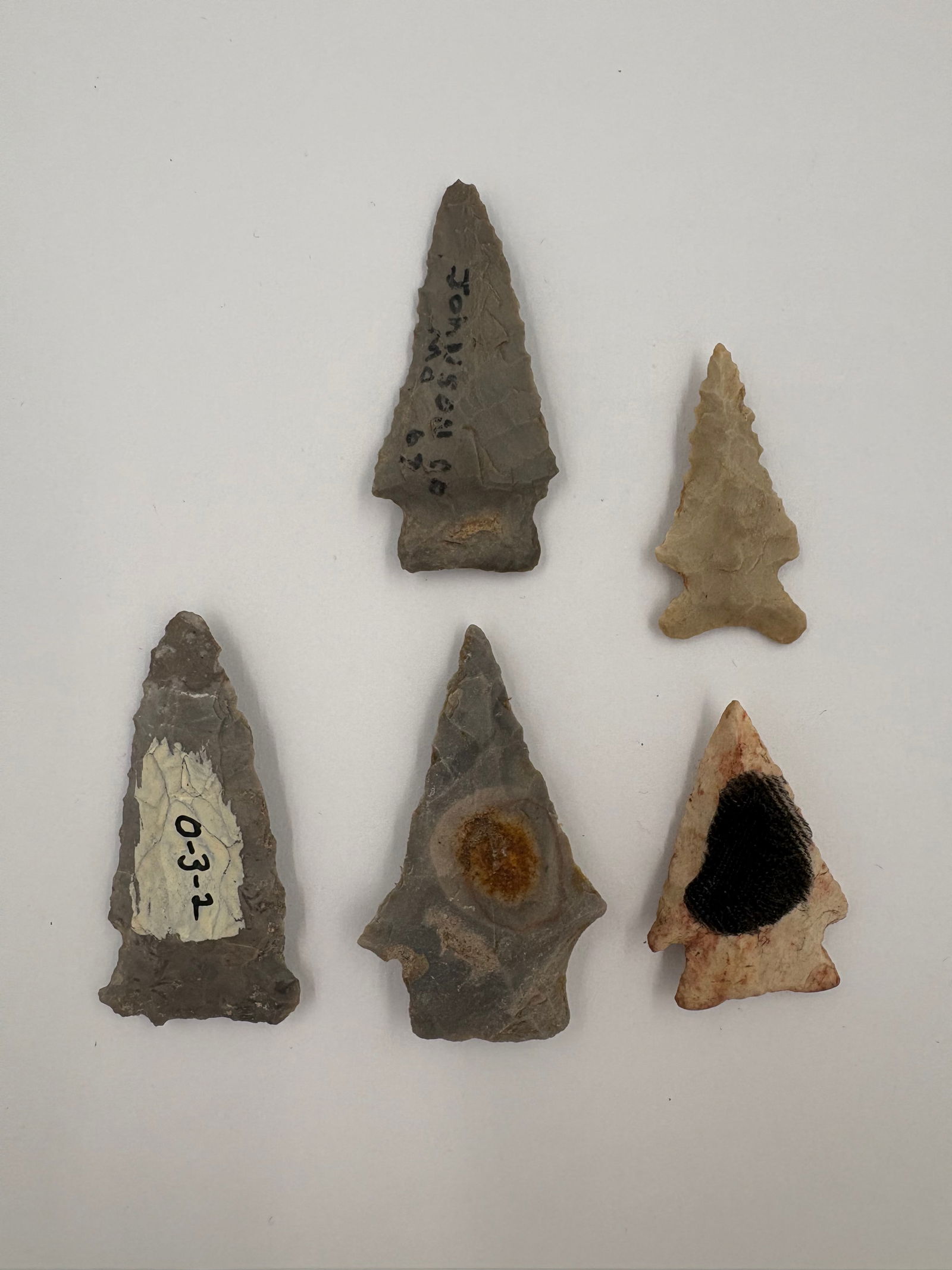 5 Heavily-beveled Rice Points - 2