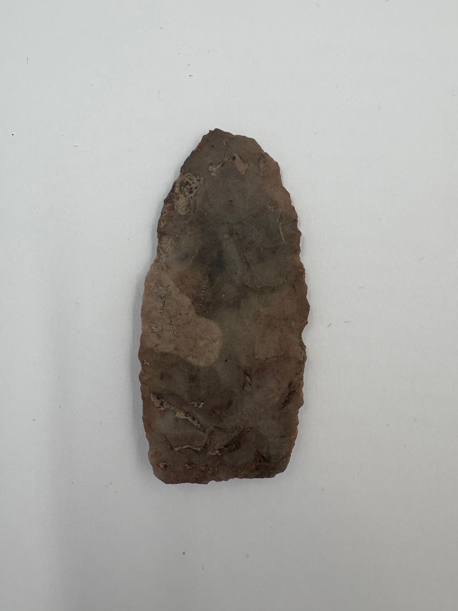 Plainview - 2 1/4in: Bifacially flaked Reed's chert point measuring 2 1/4 inches long, worked to an elongated, tapered form with a broad base. Brown and tan tones include a darker brown-black cortex patch on one face and