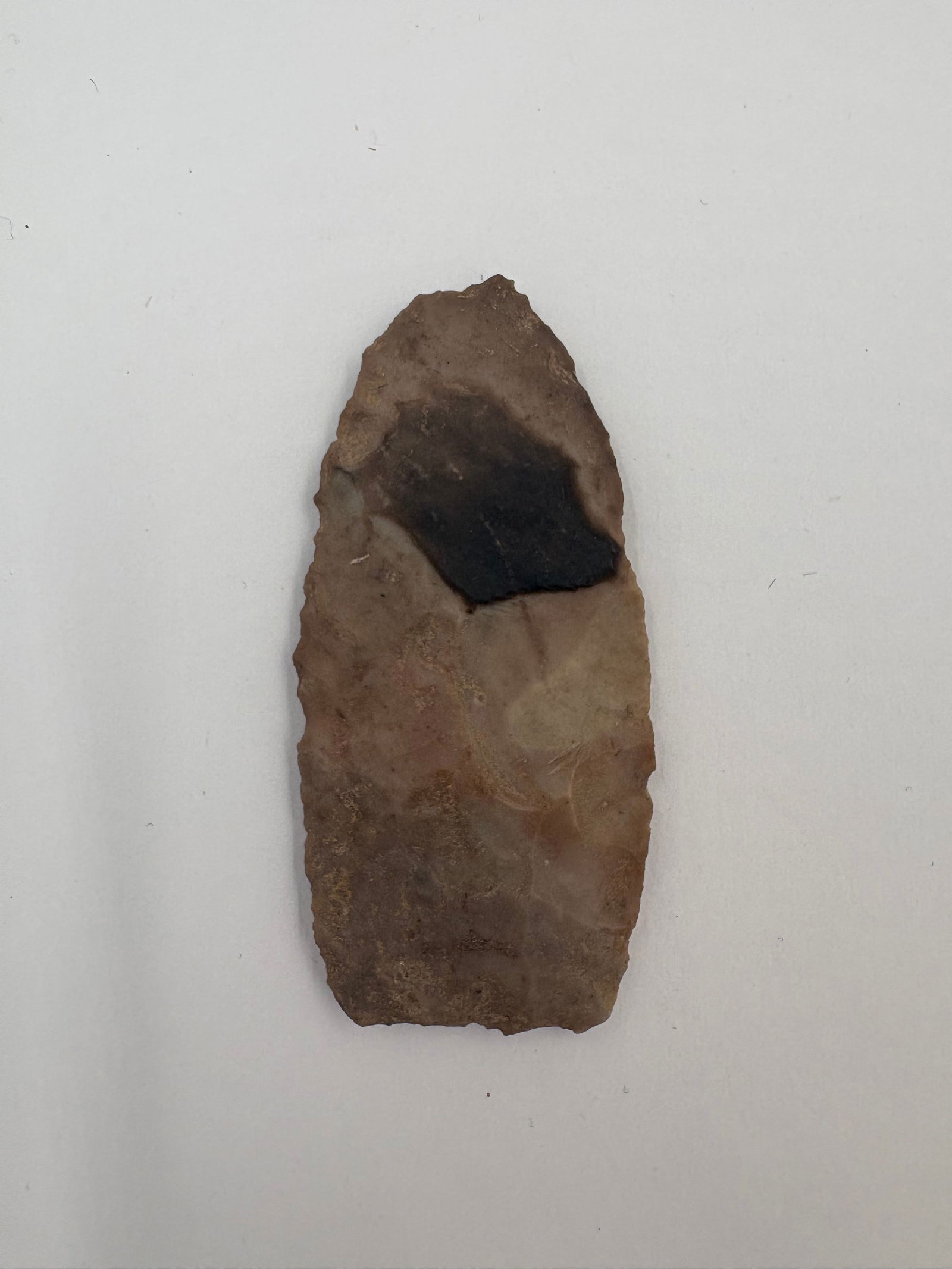 Plainview - 2 1/4in - 2