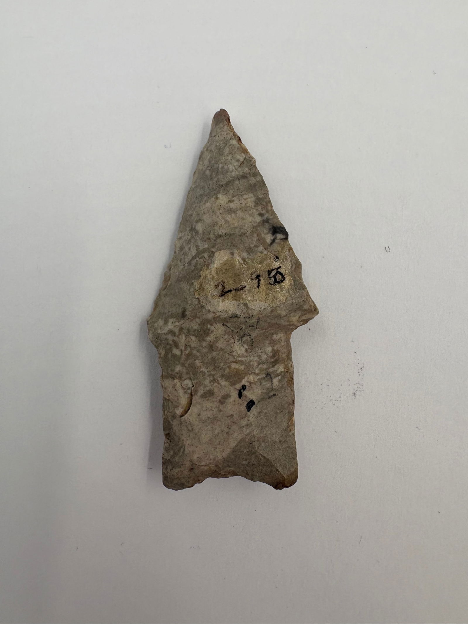 Small Hardin - 1 3/4in: Small Hardin-style projectile point measuring 1 3/4 inches. Constructed from gray-beige chert with visible flake scars and light surface patina. Triangular blade tapers to a pointed tip with