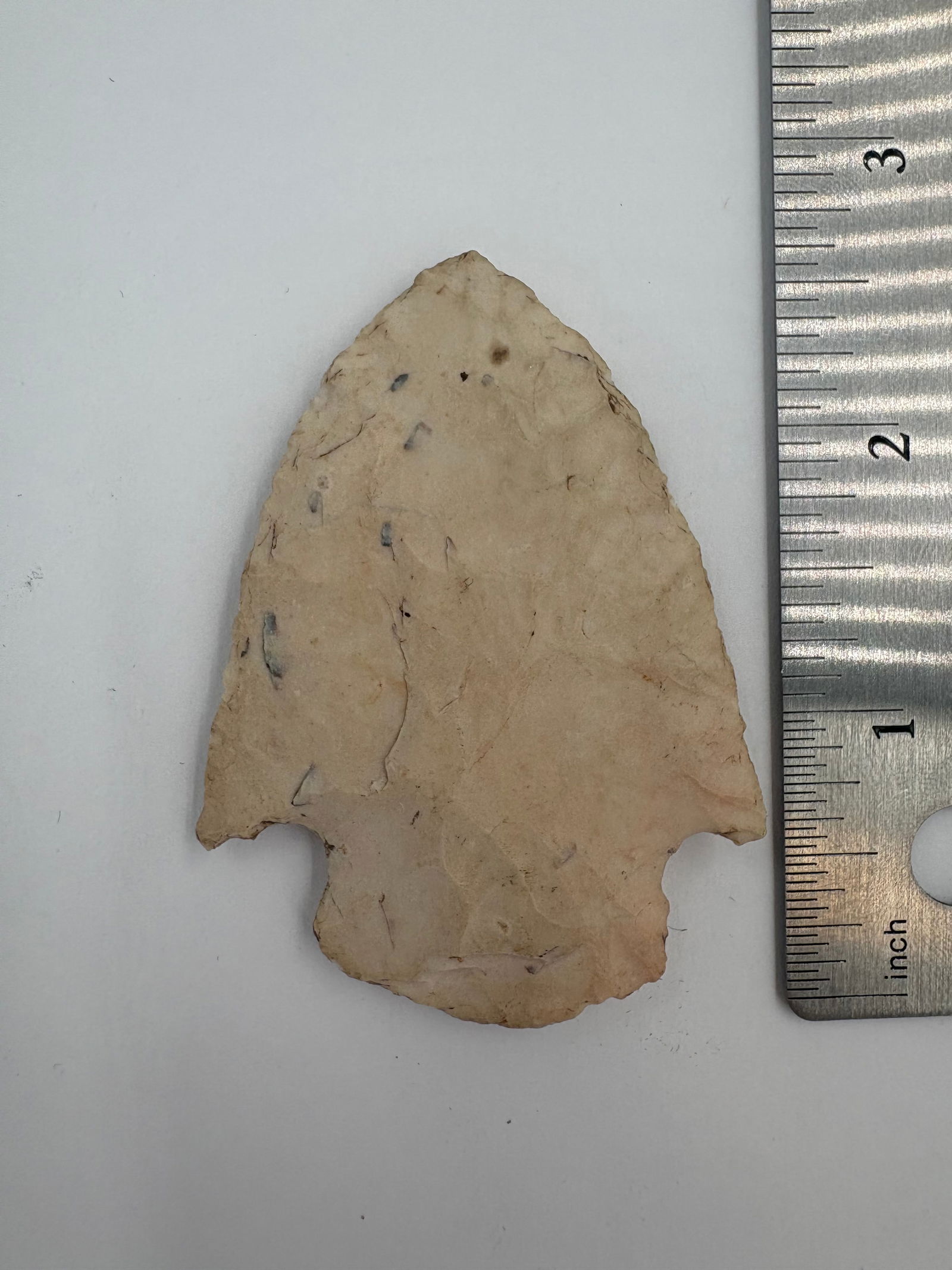 Snyder - 2 5/8in - 3