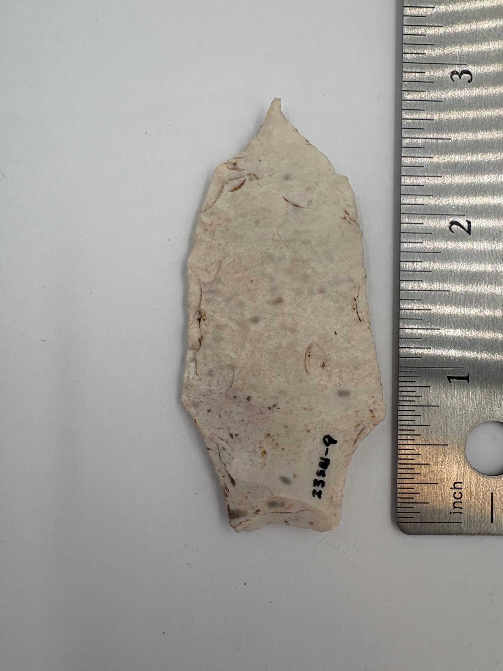 Needle Point Afton - 2 5/8in - 3