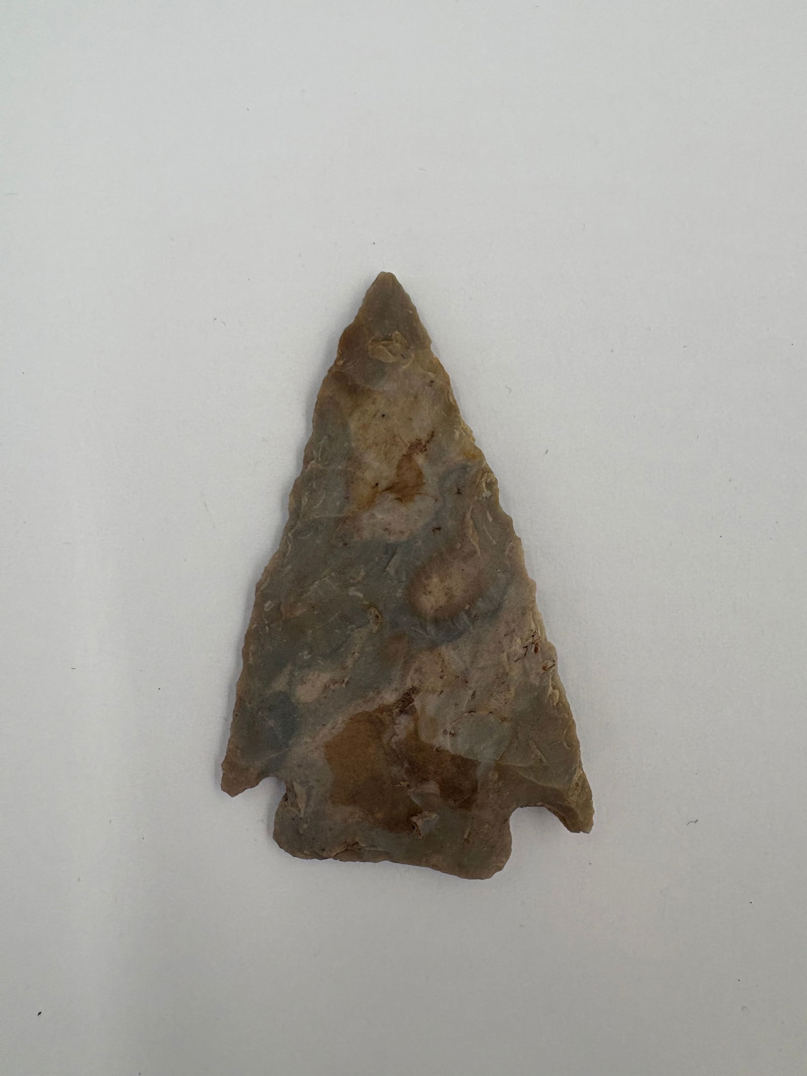 Very Thin Basal Notch Point - 2 7/16in - 2