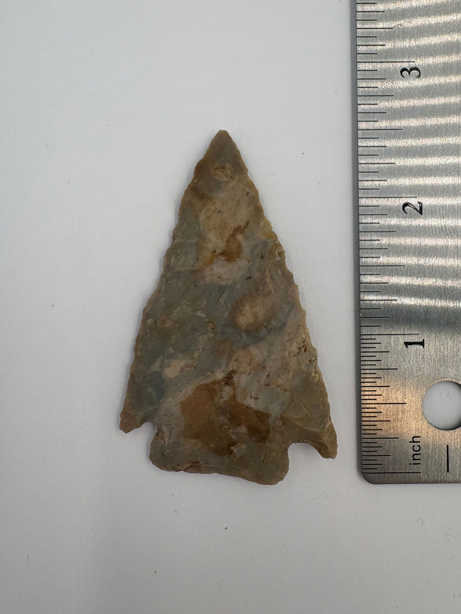 Very Thin Basal Notch Point - 2 7/16in - 3