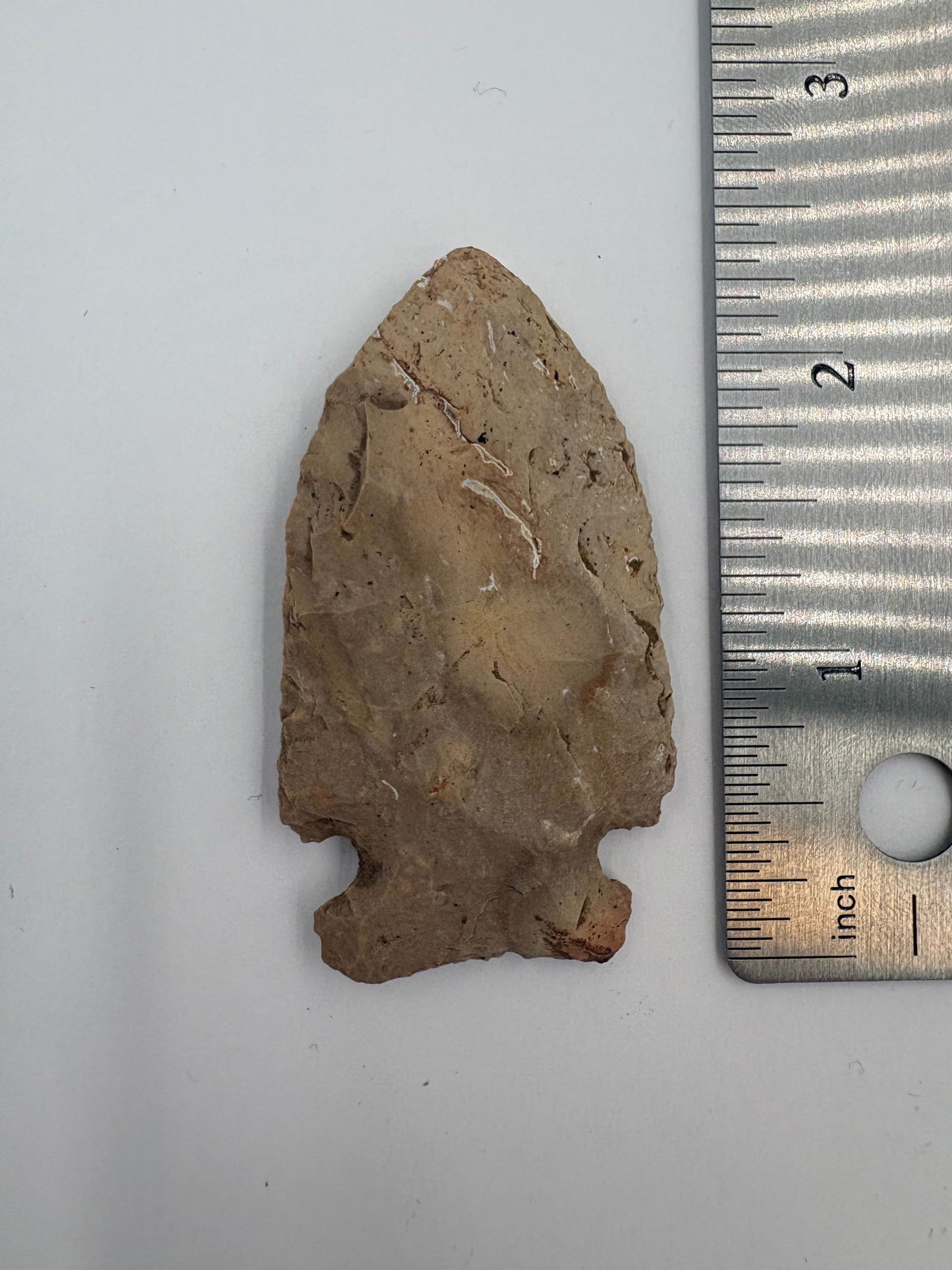 Cache River Point - 2 1/4in - 3