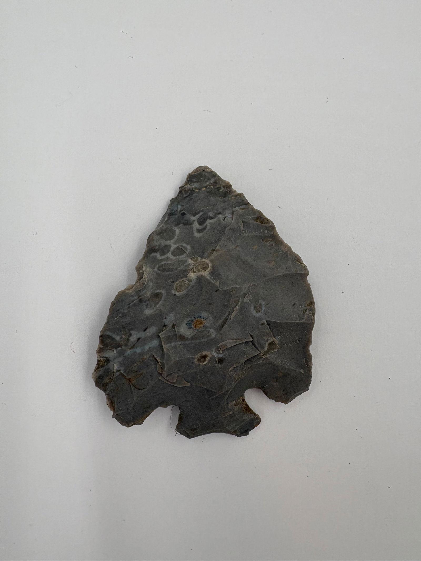 Lost Lake - 2 3/8in - 2