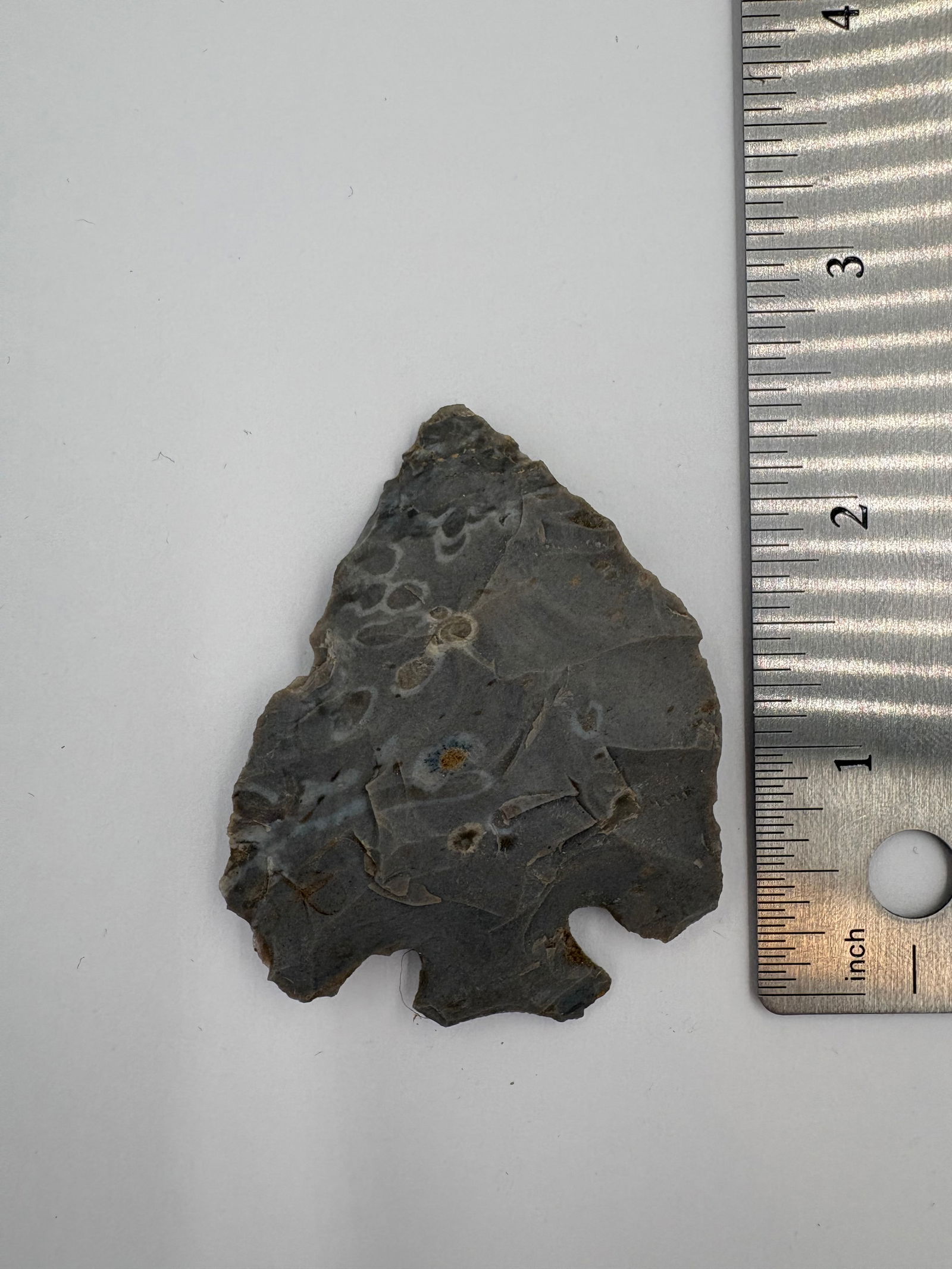 Lost Lake - 2 3/8in - 3