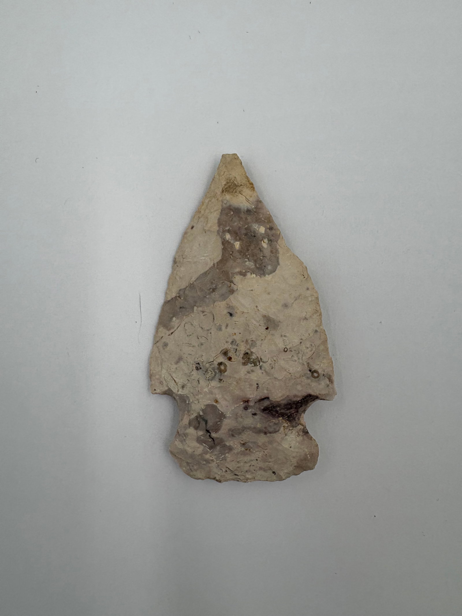 Hopewell - 2 5/8in (1 of 3)