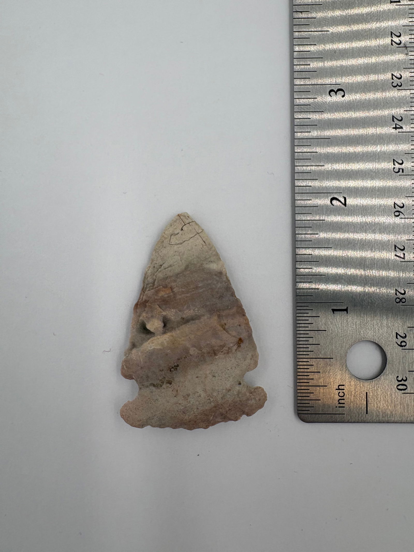 Cache River Point - 1 3/4in - 3