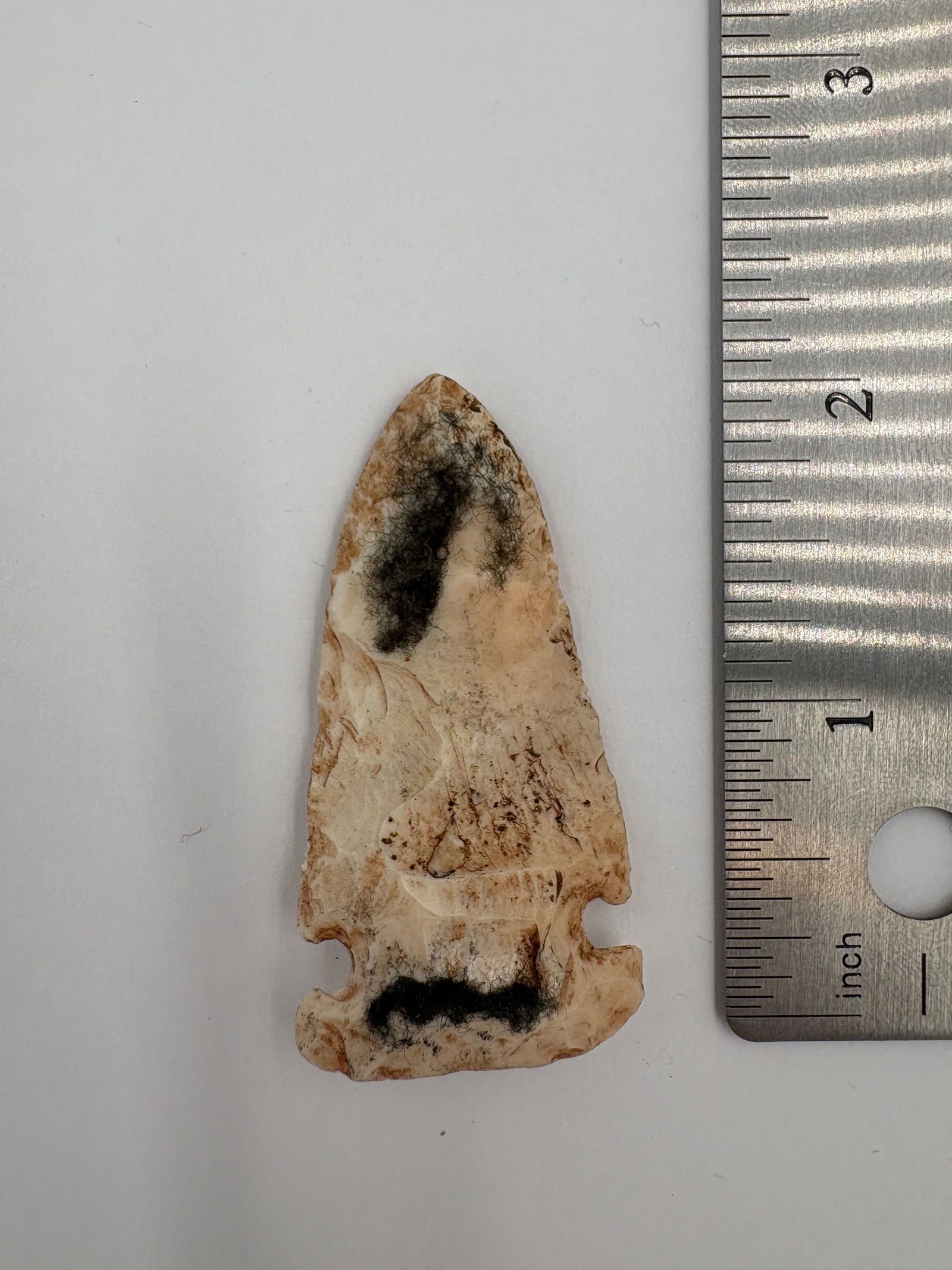 Cache River Point - 2in - 3