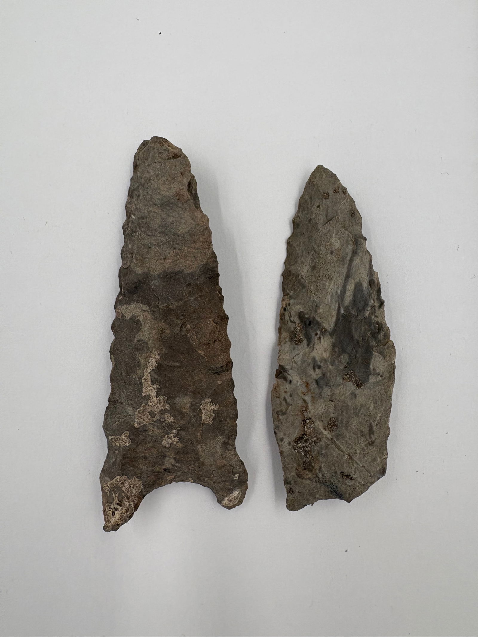 2 Dalton Points (1 of 3)