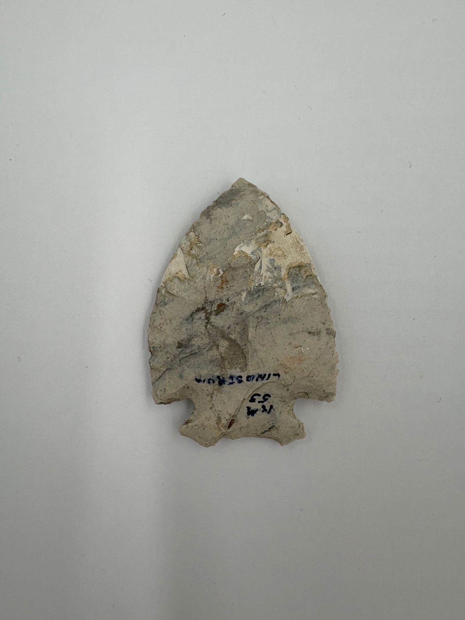 *Restored* Snyder - 2