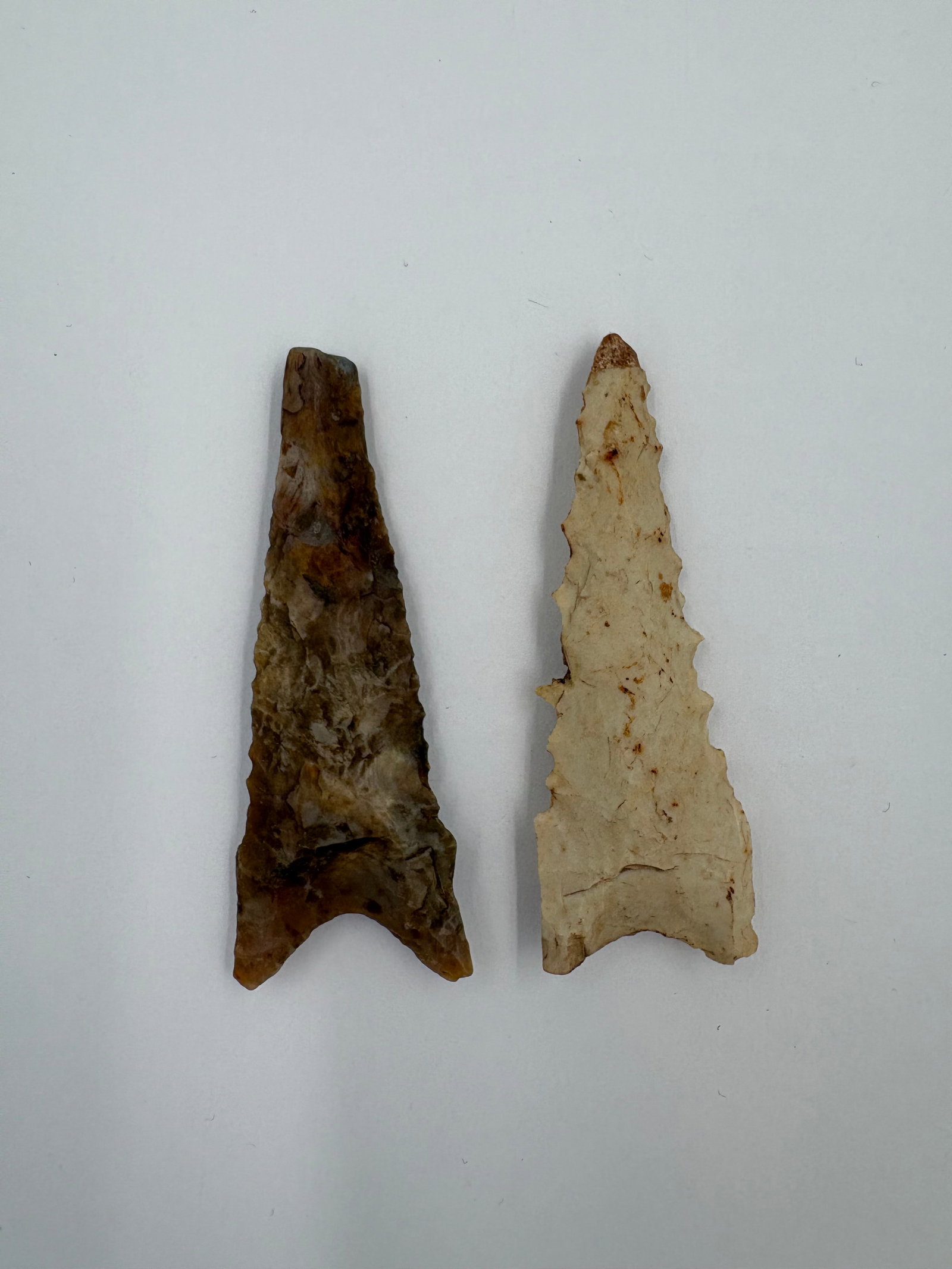 2 Dalton Points: Two Dalton-style projectile points measure up to 2 5/8 inches at the largest. One point is medium brown to amber chert with bifacial flaking and pronounced basal notches forming a concave stem. The