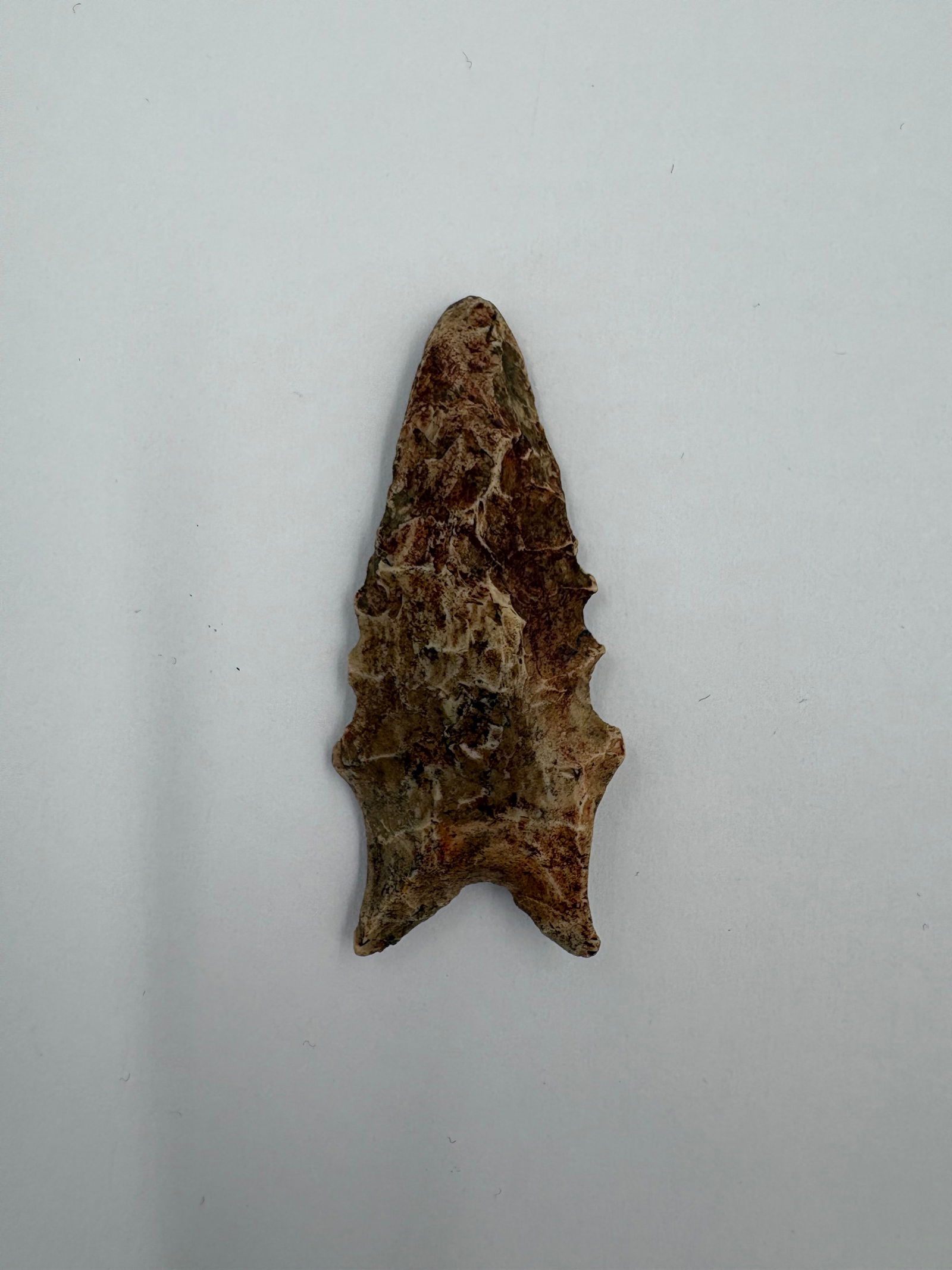 Dalton: Flaked stone projectile point with a narrow, tapered blade and pronounced basal ears forming a notched, bifurcate stem. Pale tan to brown coloration with darker brown patina and visible flake scars al