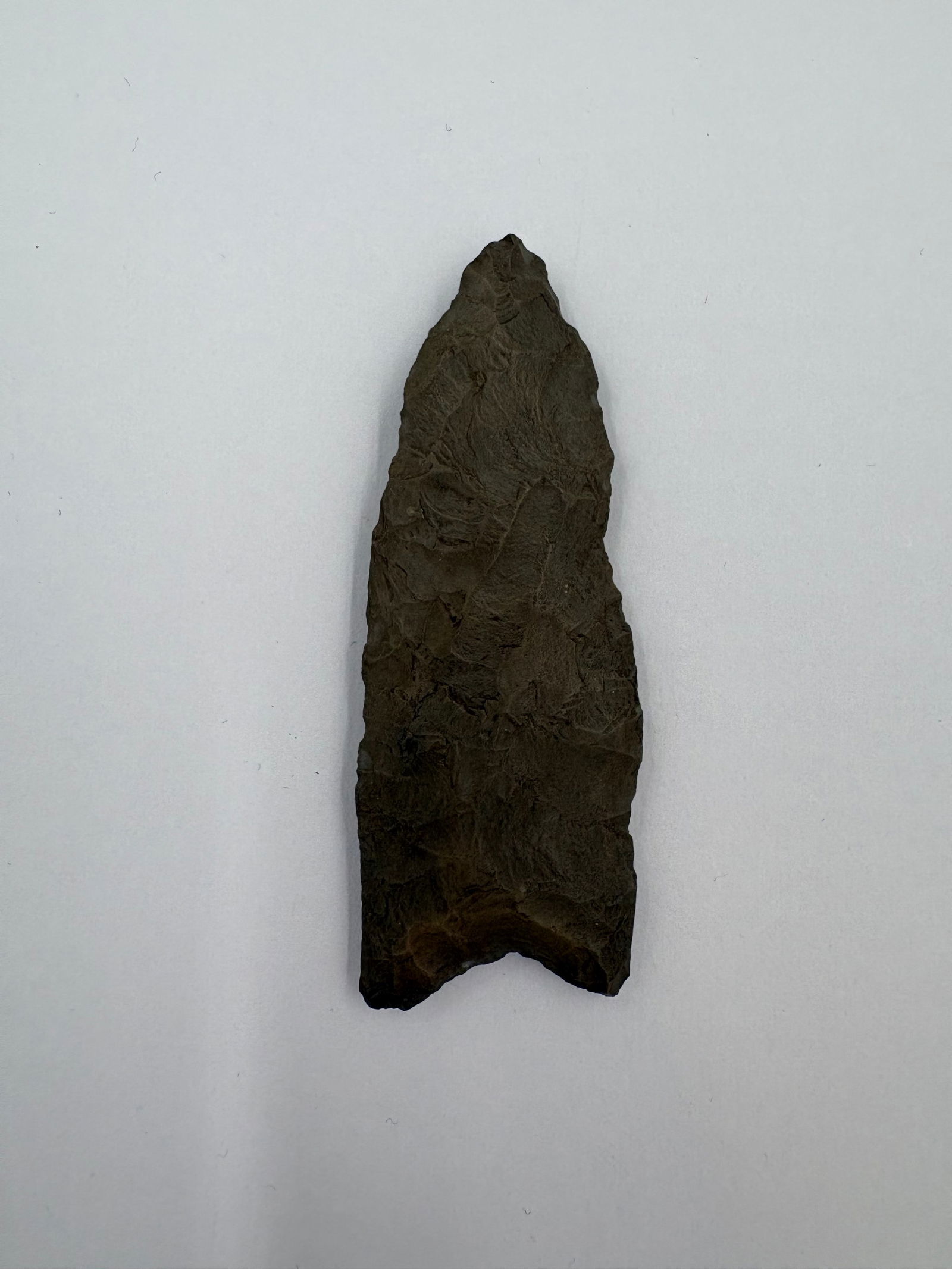 Dalton: Dark gray-brown flaked stone projectile point with pronounced bifacial flaking and a narrow lanceolate blade. The basal edge has a shallow concave notch with slight shoulders. Prominent flake scars cr