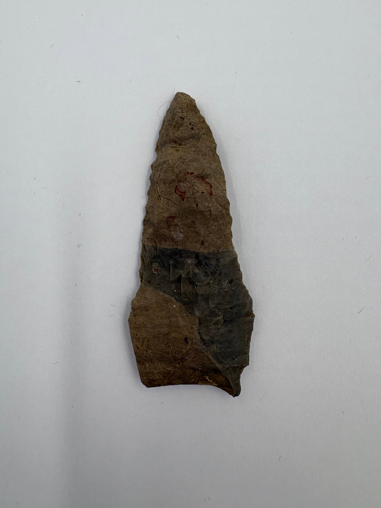 Dalton: Bifacially flaked stone projectile point with an elongated lanceolate profile measuring 2 1/4in. Brown and dark gray chert exhibits pronounced flake scars along the blade and a tapered tip with a slig