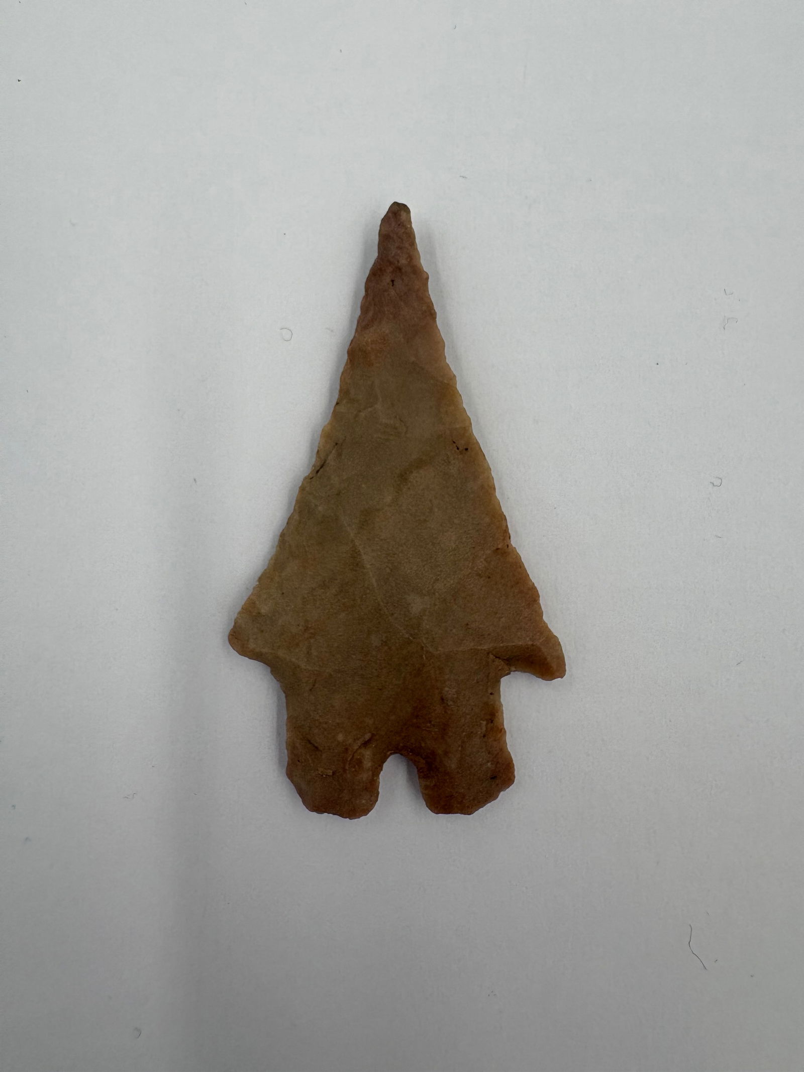 Montell - Ex. Gary Bracken - 2