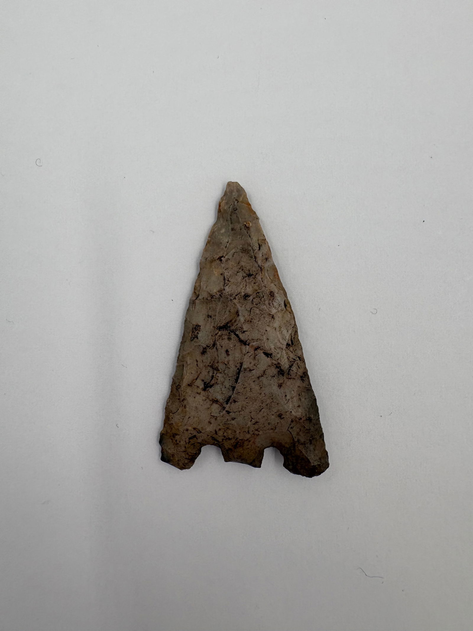 Hernando - Florida - 2