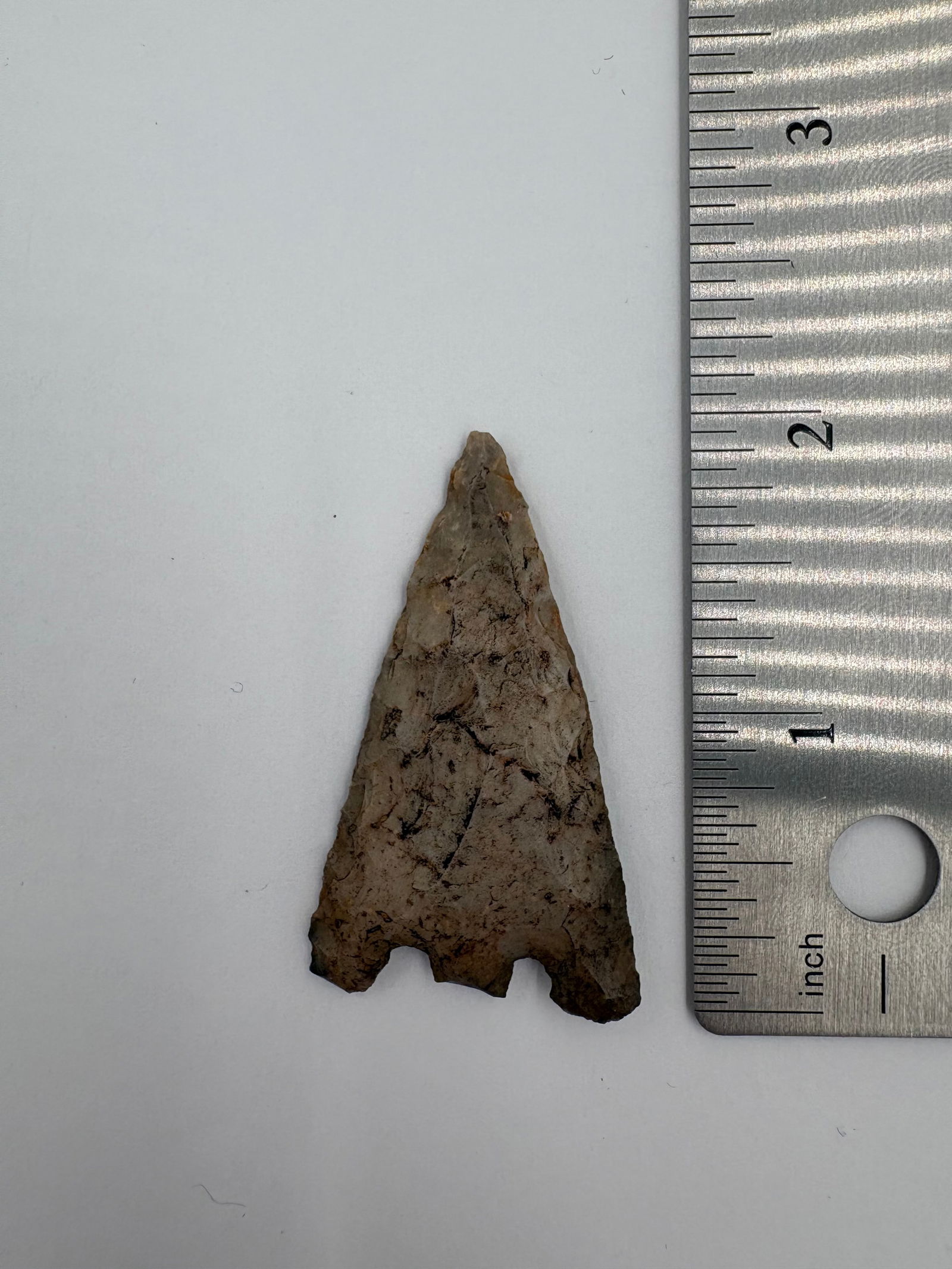 Hernando - Florida - 3