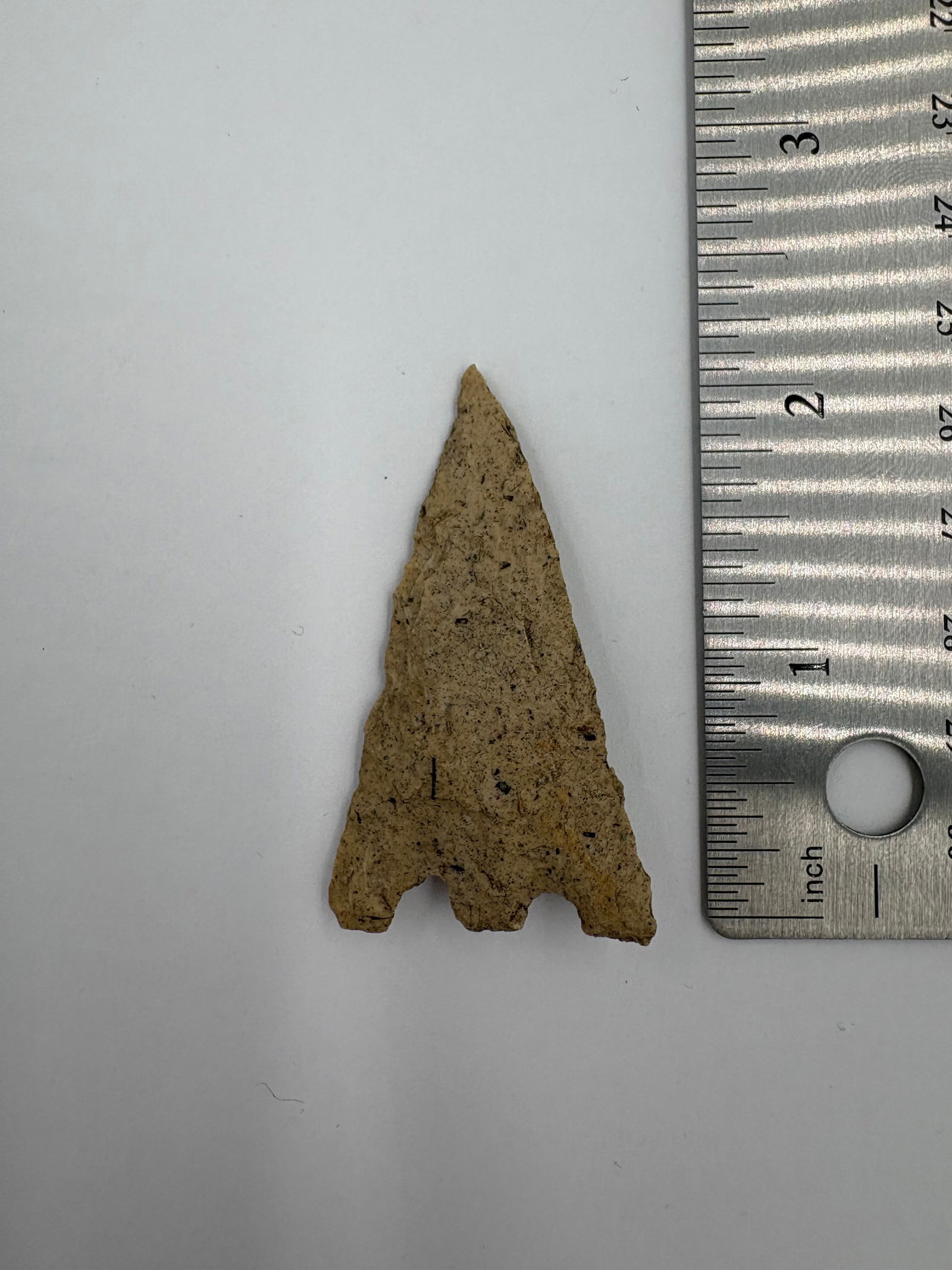 Hernando - Florida - 3