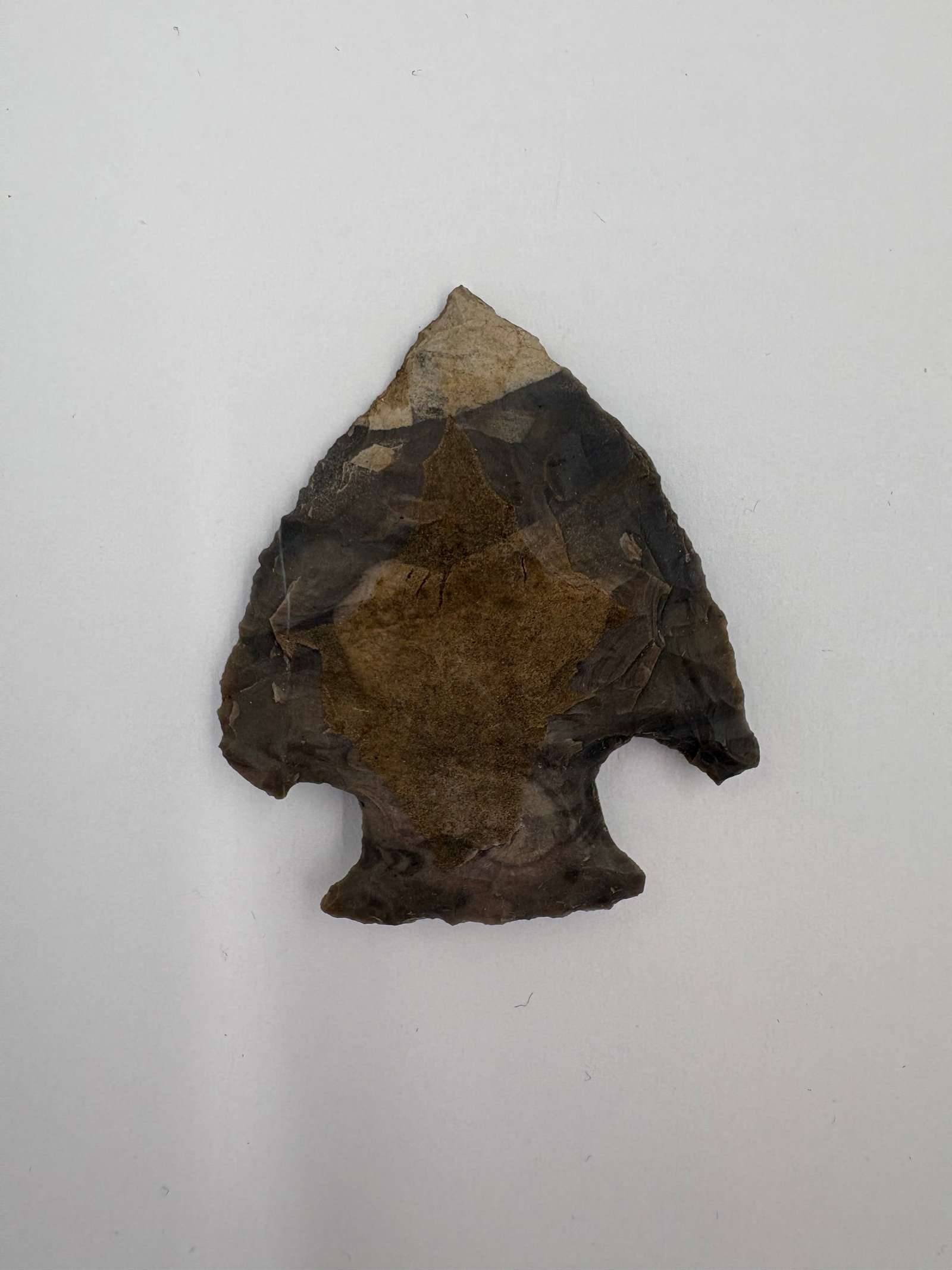 Snyder- Reeds Spring chert: Knapped chert point with a broad triangular blade and a stemmed, notched base. Dark gray-brown material displays a tan cortex near the tip and prominent flake scars across both faces. Measures 2 1/4 i