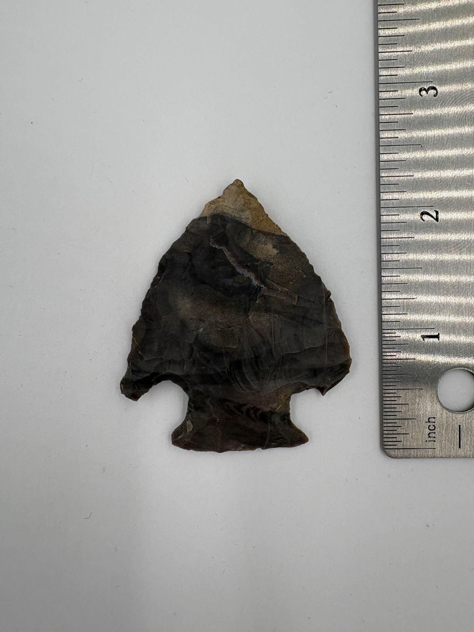 Snyder- Reeds Spring chert - 3