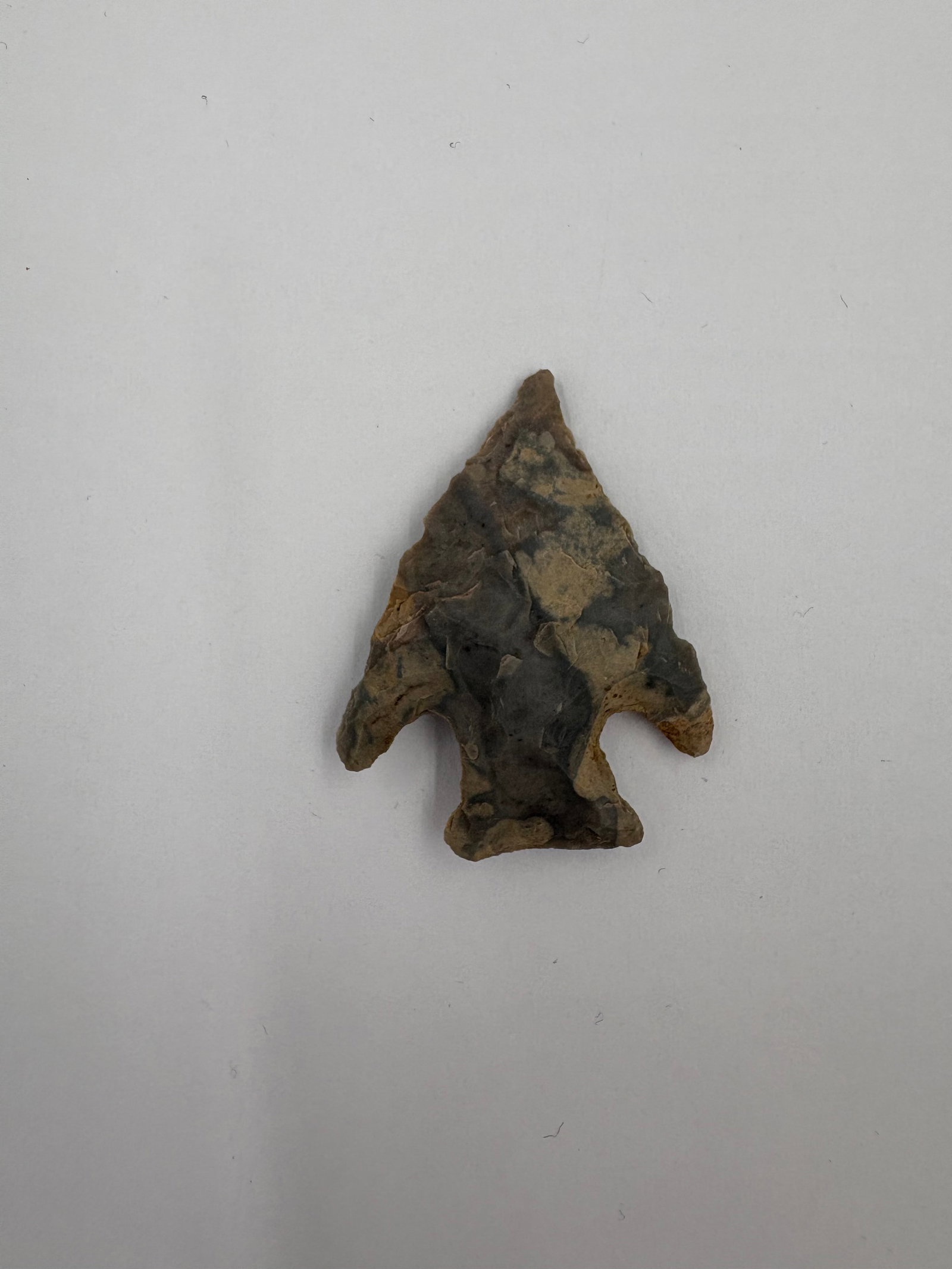 Calf Creek - Reeds Spring chert: Reeds Spring chert projectile point measuring 1 5/8 inch with a triangular blade, pronounced side notches, and a short expanded stem. Variegated gray and tan chert displays multiple flake scars and