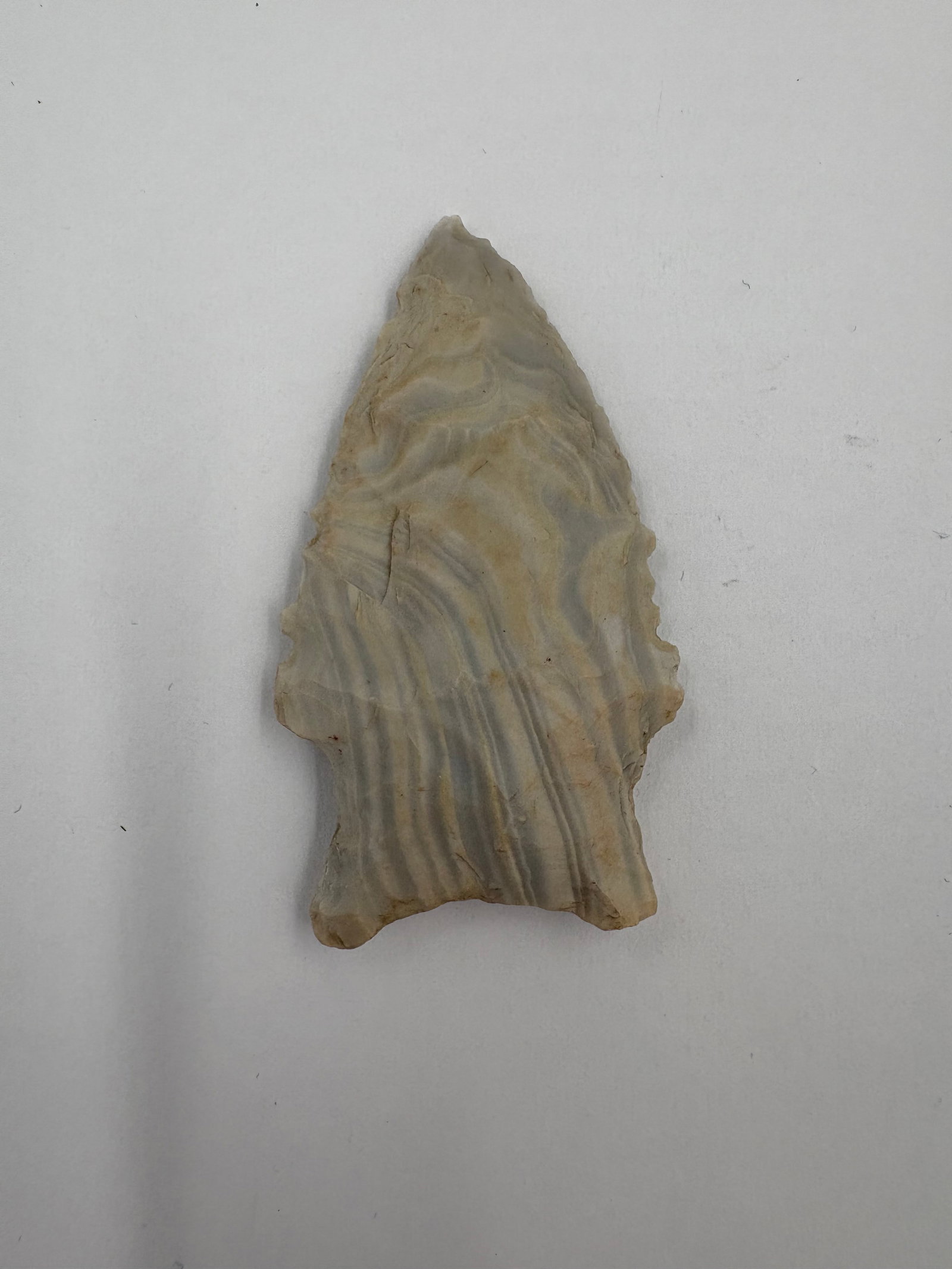 Holland: Flaked stone projectile point with banded gray and tan coloration and pronounced ripple-like flake scars across both faces. Distinct notched basal ears and pressure-flaked margins form a triangular