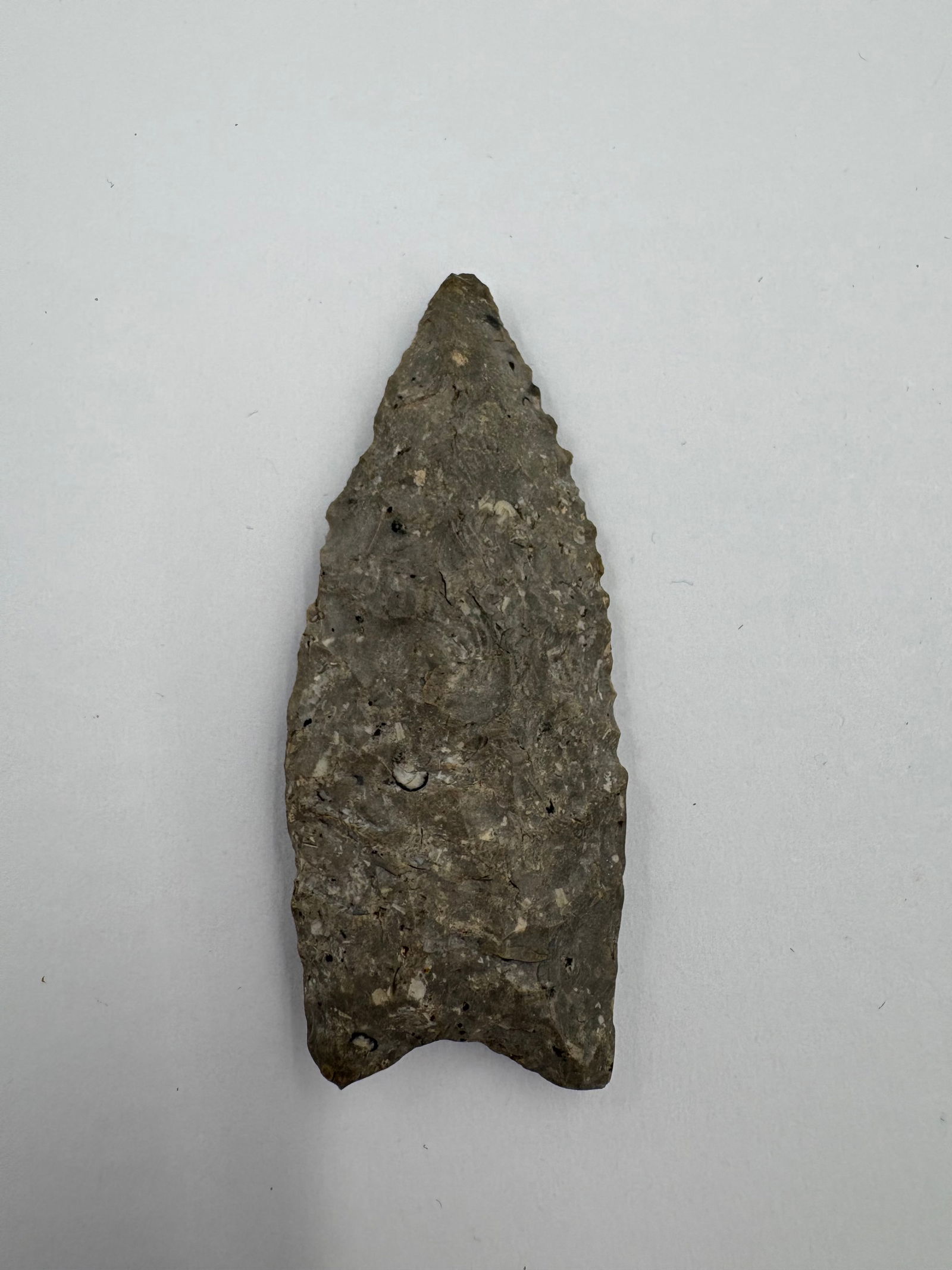 Dalton: Gray chert projectile point with a tapered, leaf-shaped blade and a notched, stemmed base. Bifacial flake scars and edge retouch cover both faces, producing a thin, knife-like profile and a pointed ti