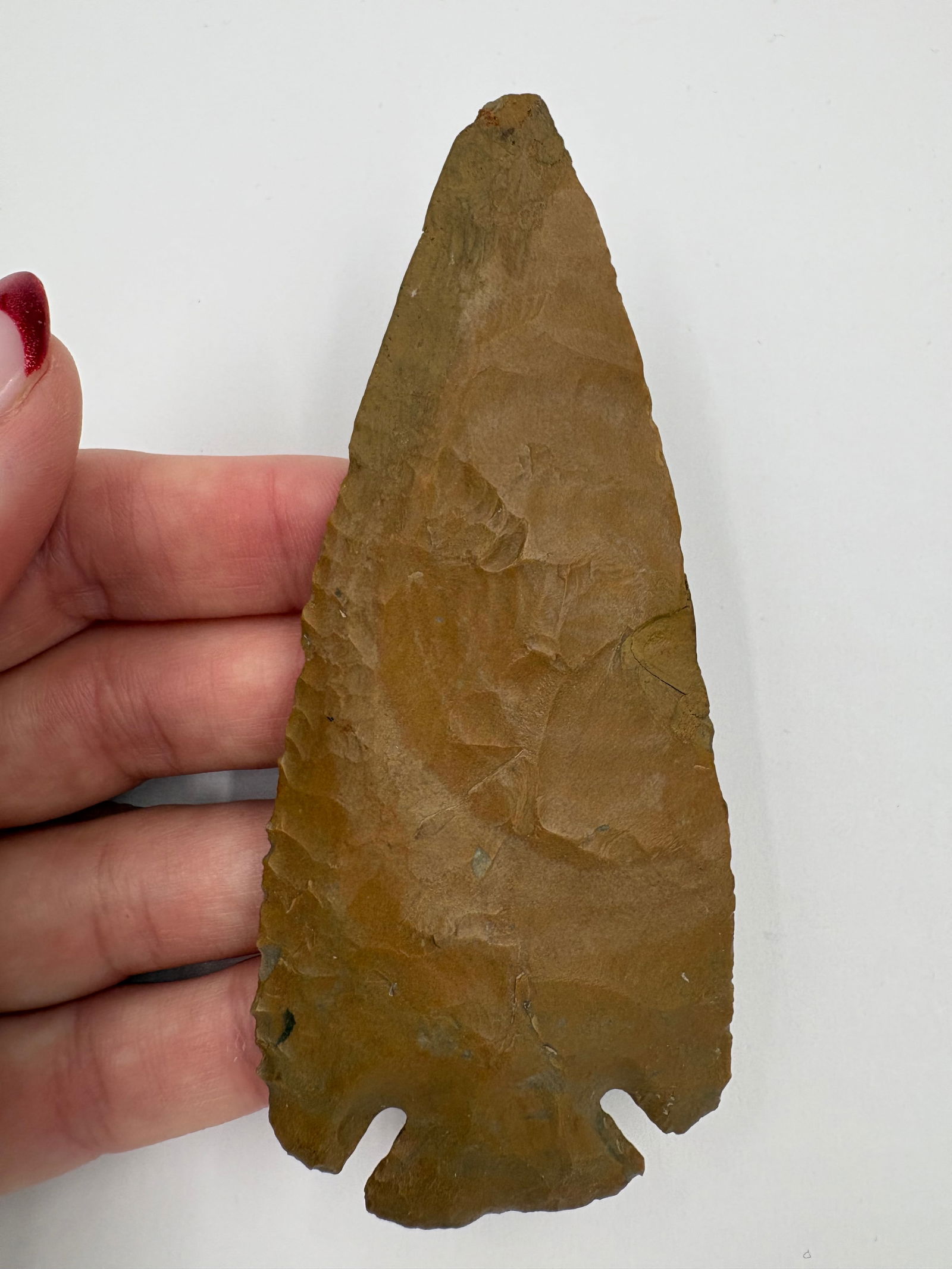 Dovetail (minor restoration) - 5