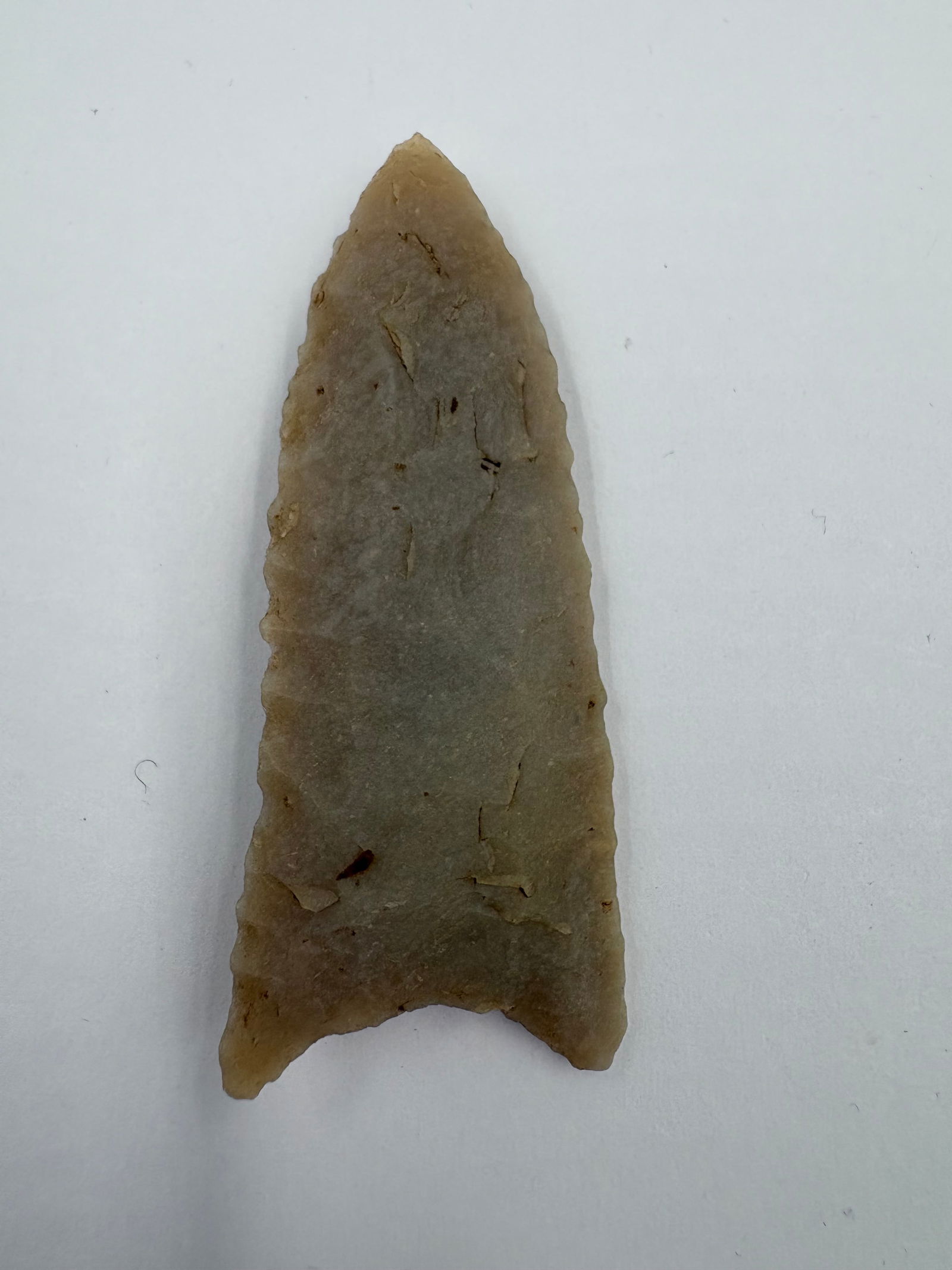 Dalton, Translucent Chert, Stermer COA - 2