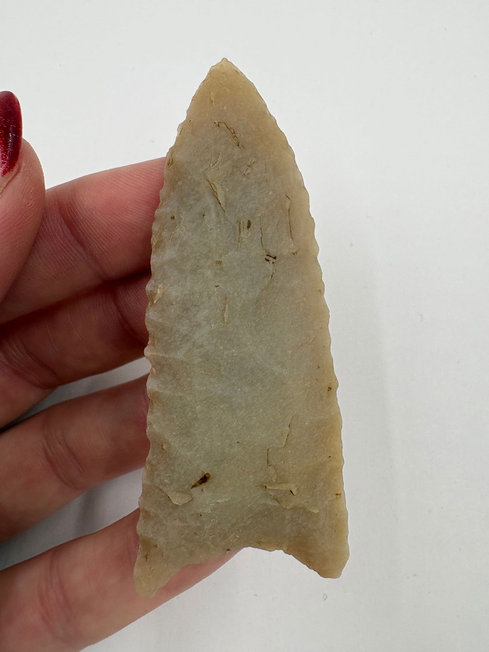 Dalton, Translucent Chert, Stermer COA - 5