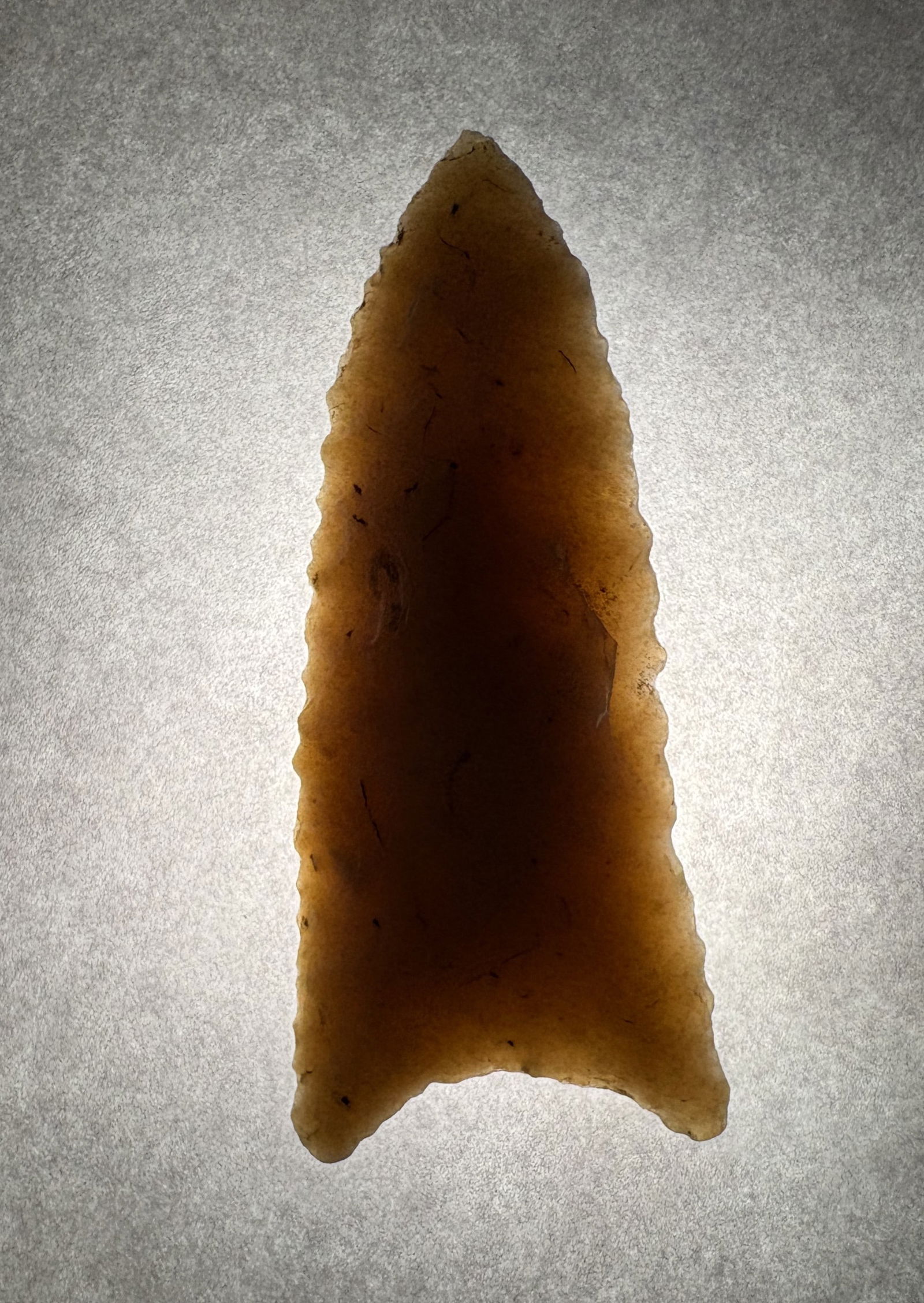 Dalton, Translucent Chert, Stermer COA - 7