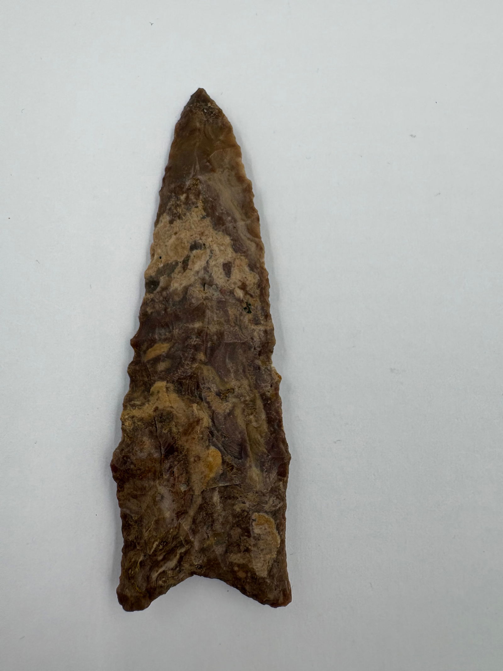 Dalton, Stermer COA - 2