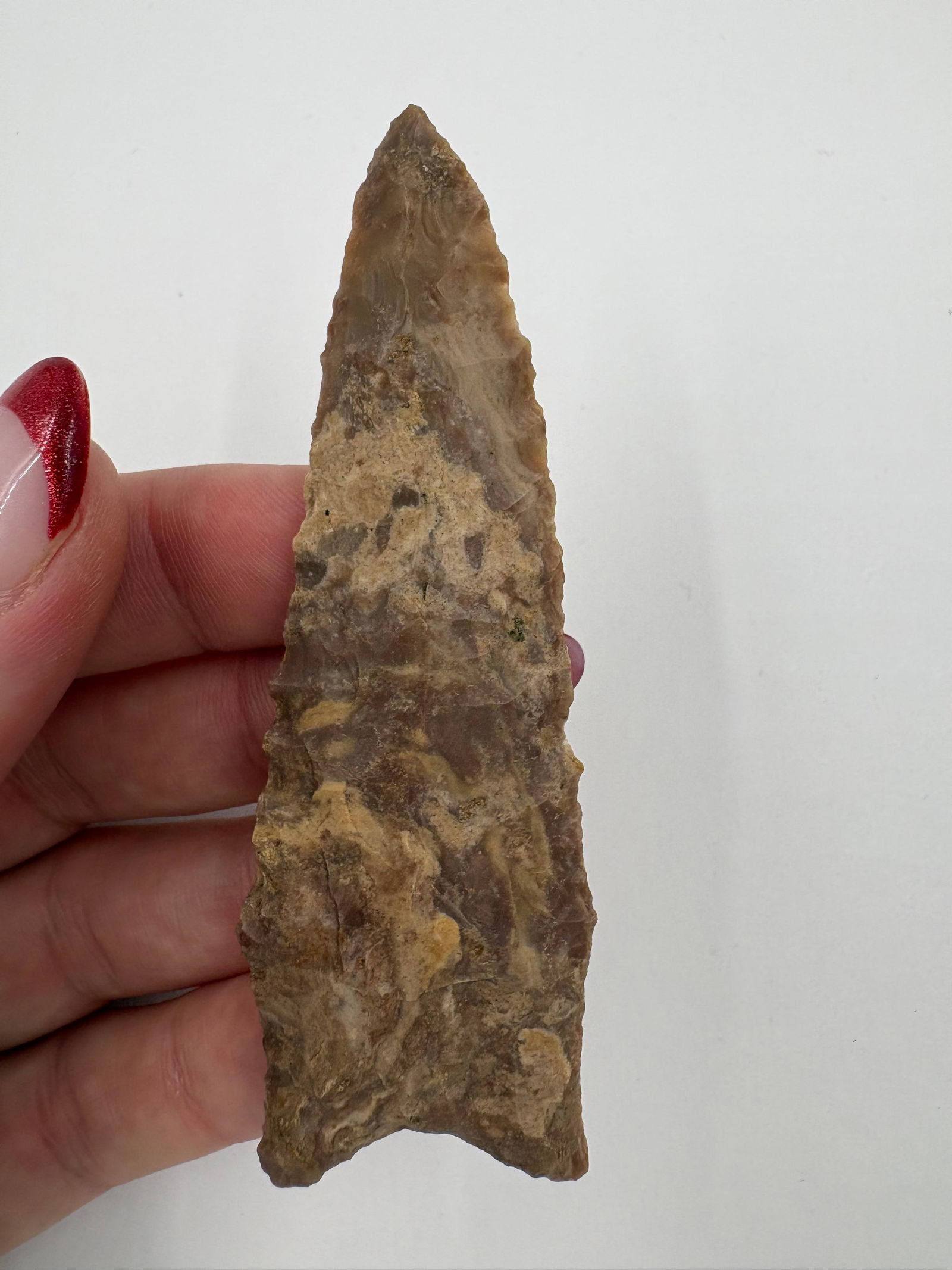 Dalton, Stermer COA - 5