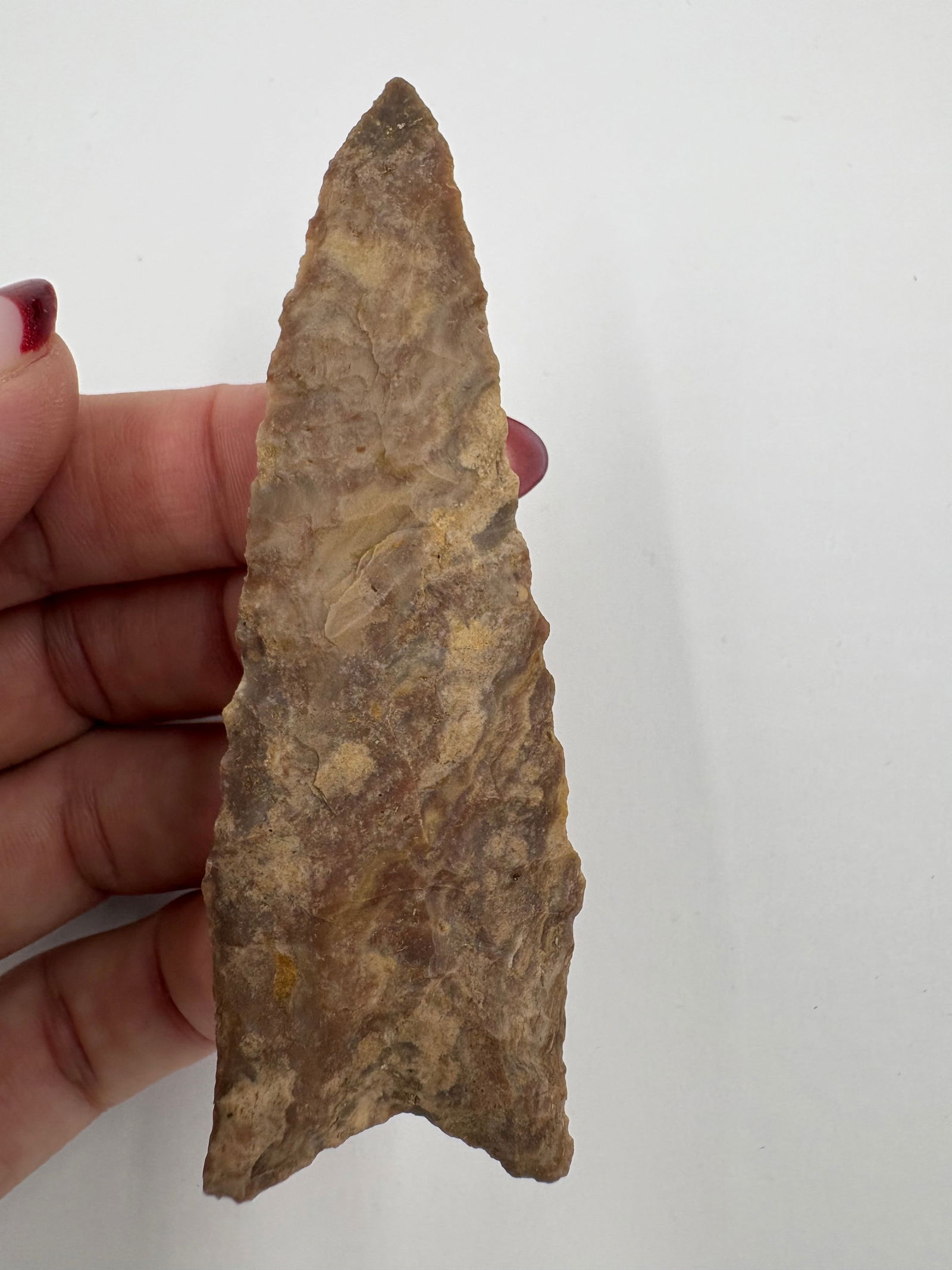 Dalton, Stermer COA - 6