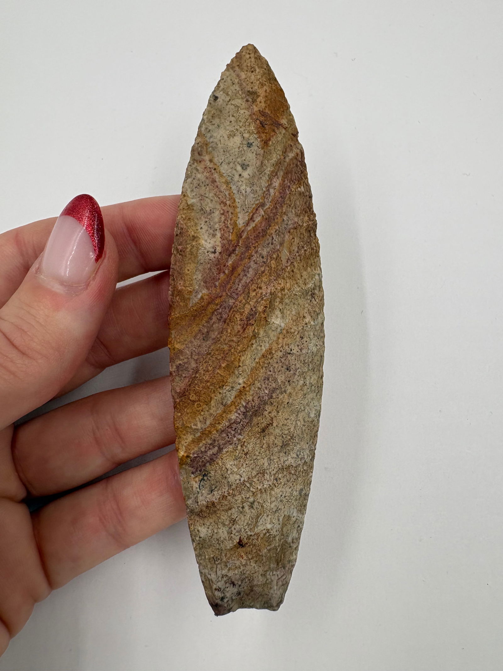 Agate Basin, Butler COA - 5