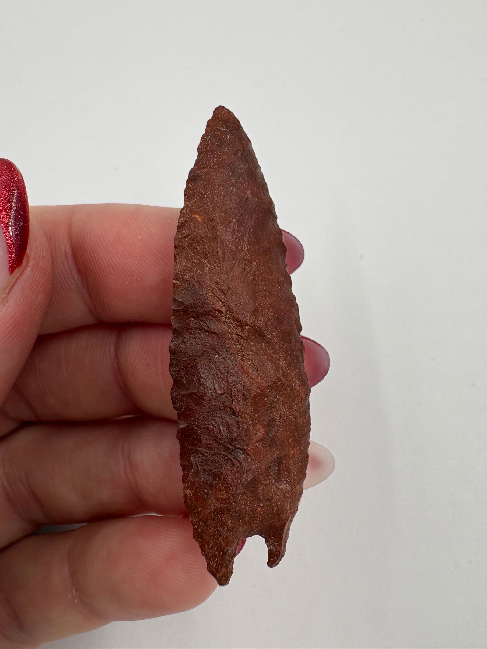 McKean Lanceolate, Stermer COA - 5