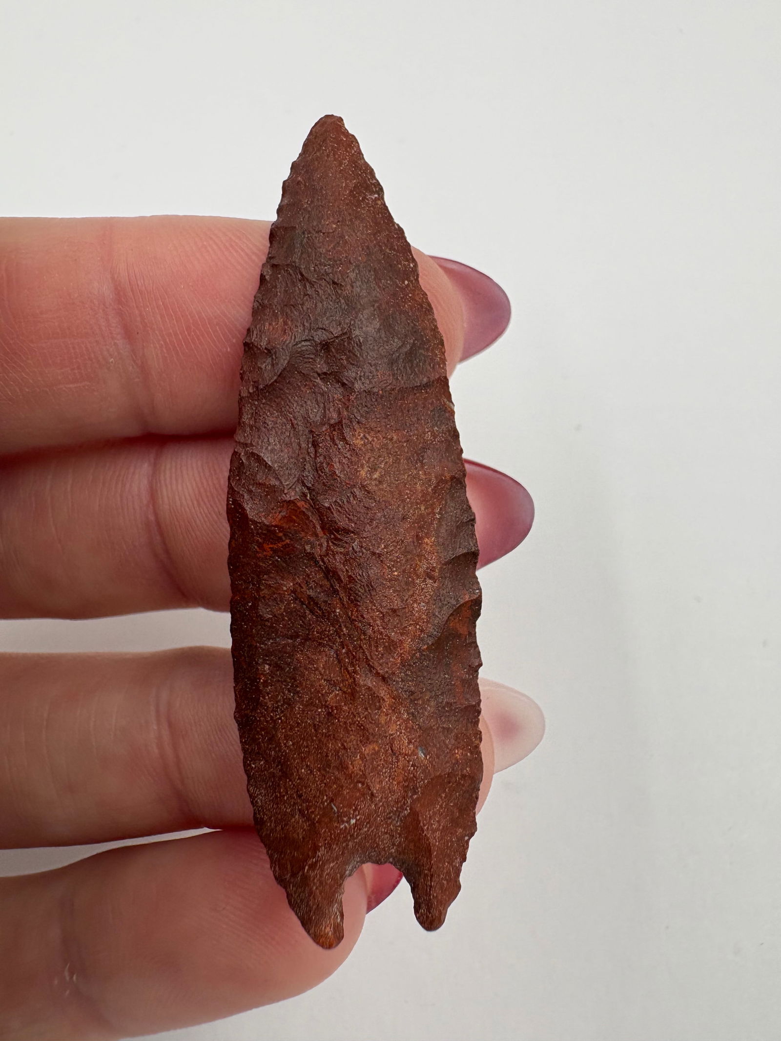 McKean Lanceolate, Stermer COA - 6