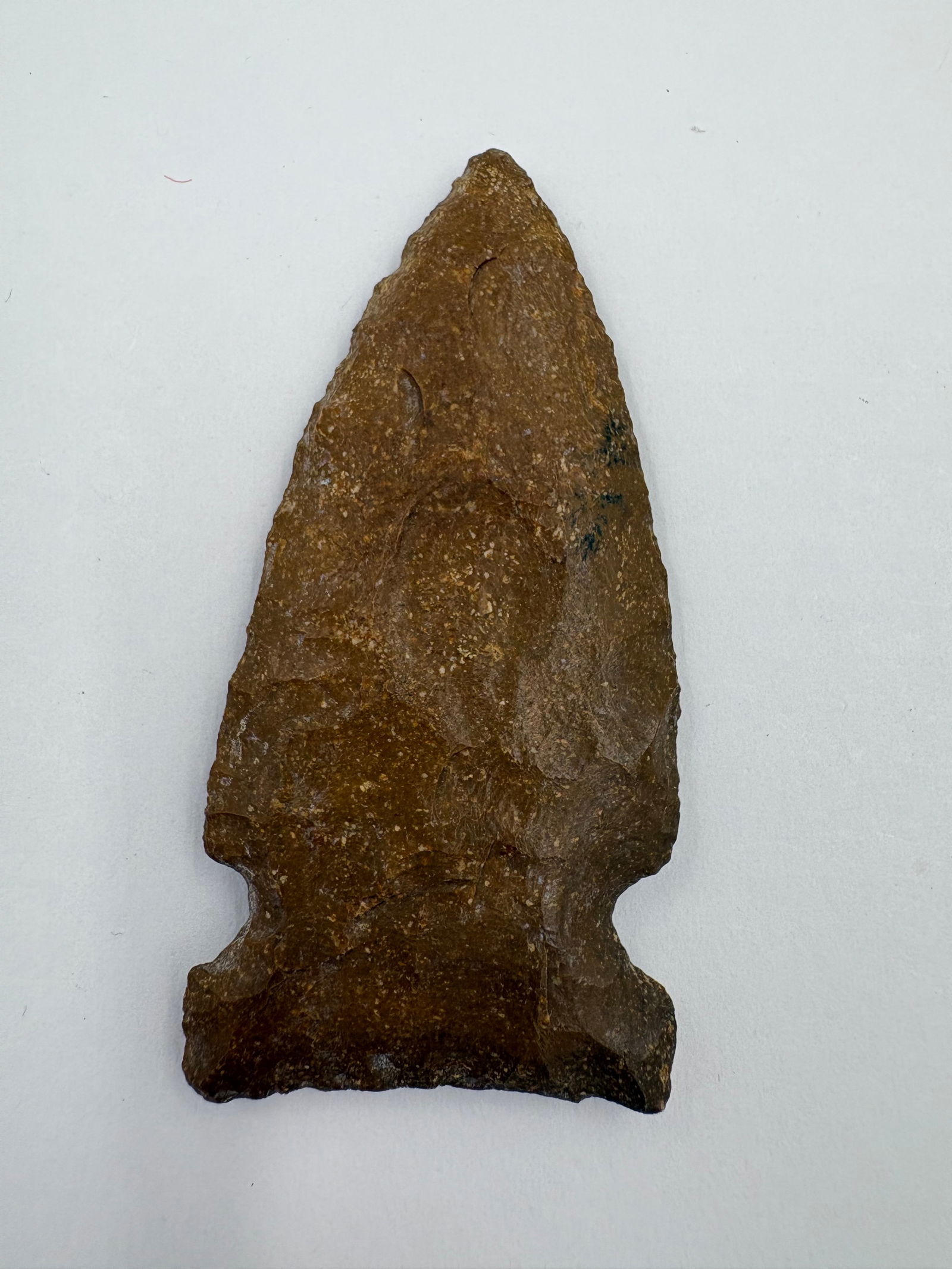 Hemphill Point, Motley COA (1 of 7)