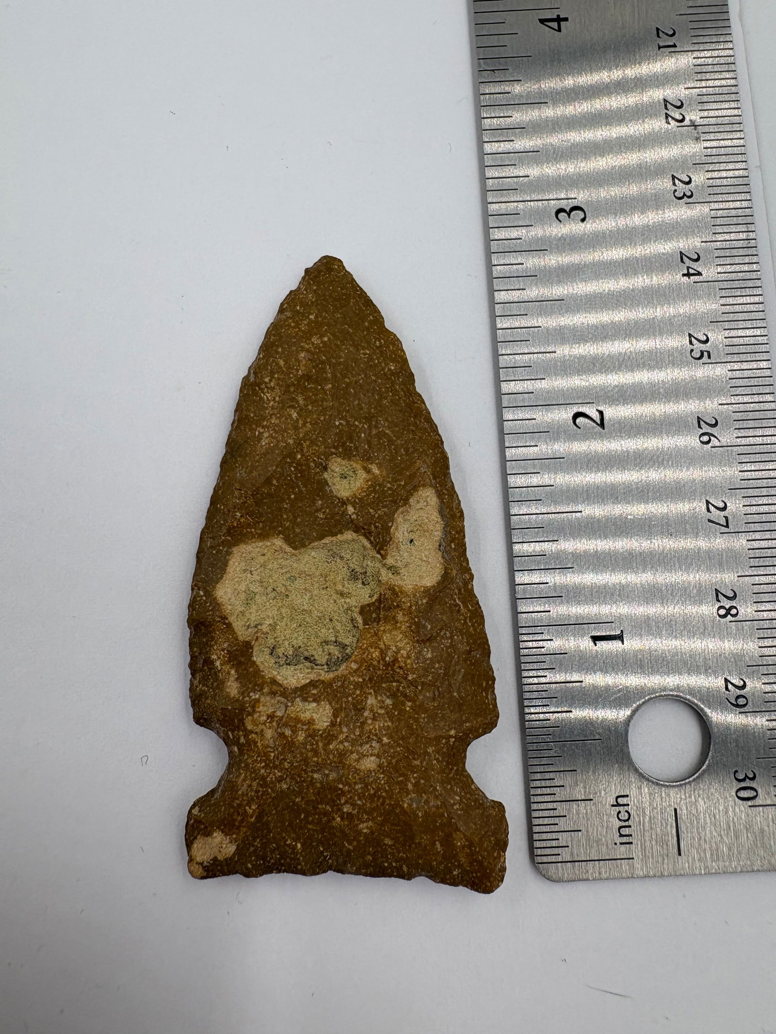 Hemphill Point, Motley COA - 3