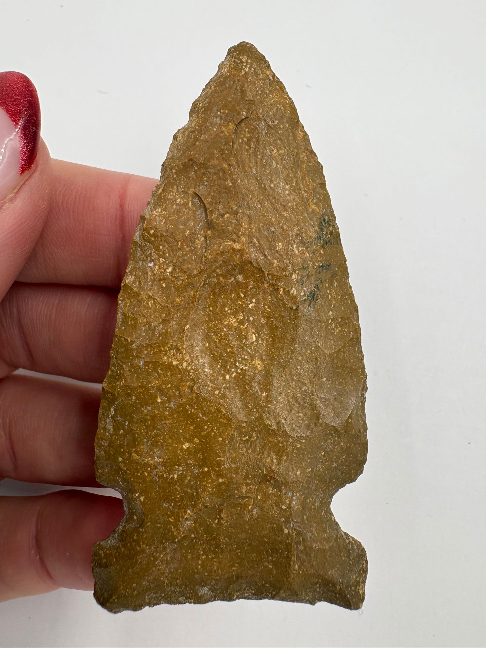 Hemphill Point, Motley COA - 6