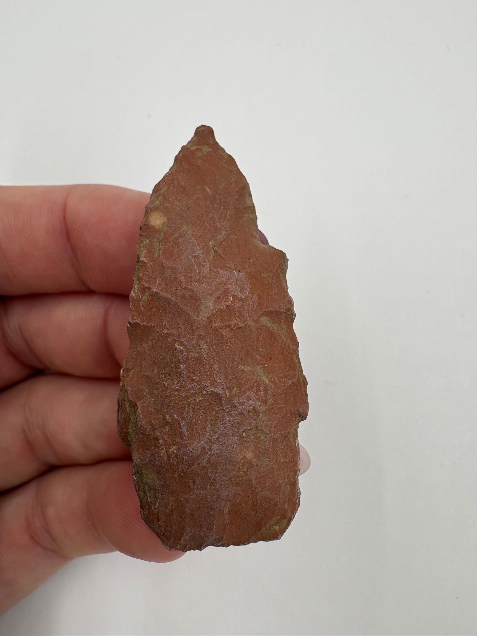 Stone Square Stem Point, Motley COA - 5