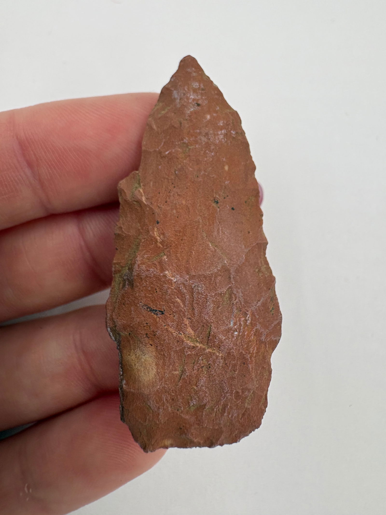 Stone Square Stem Point, Motley COA - 6